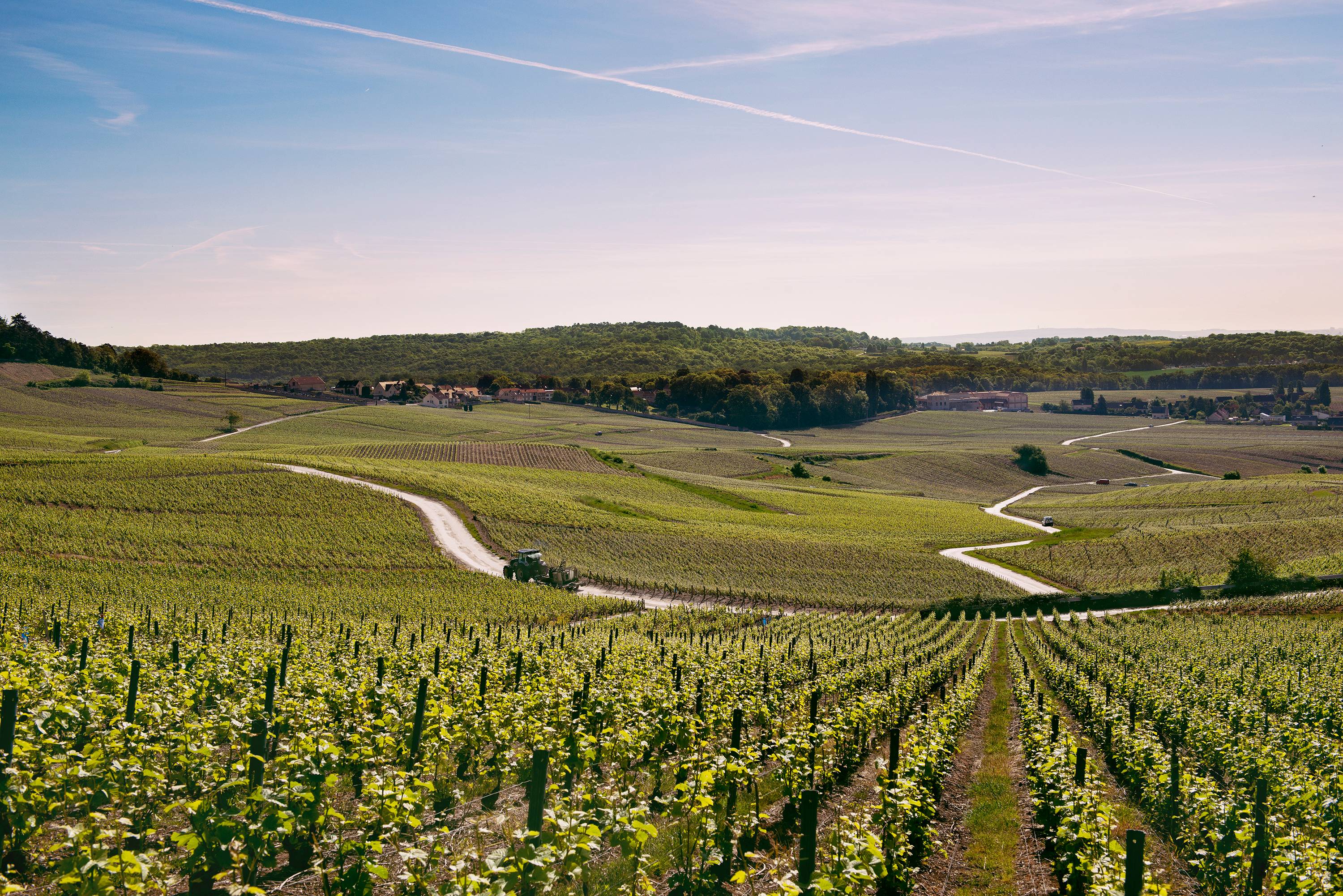  - Grower Tasting Moment