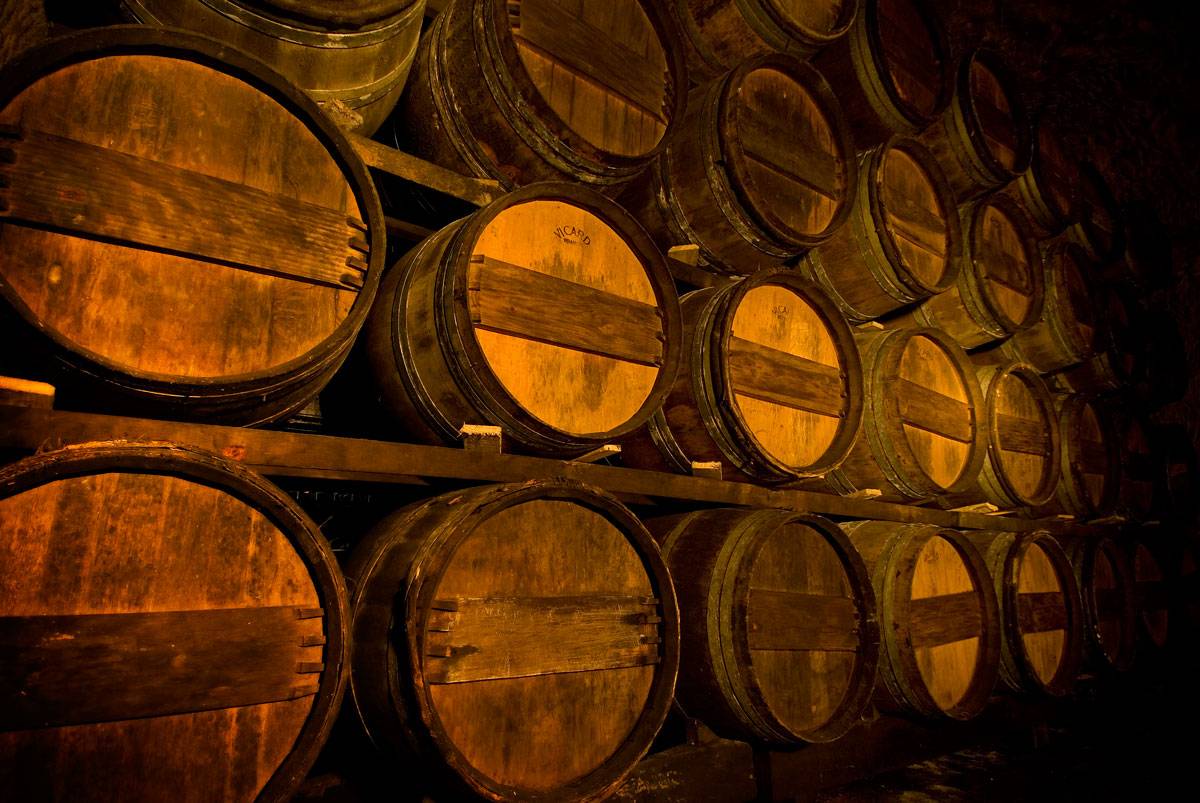  - Exclusive guided tour and wine tasting with a panoramic view 