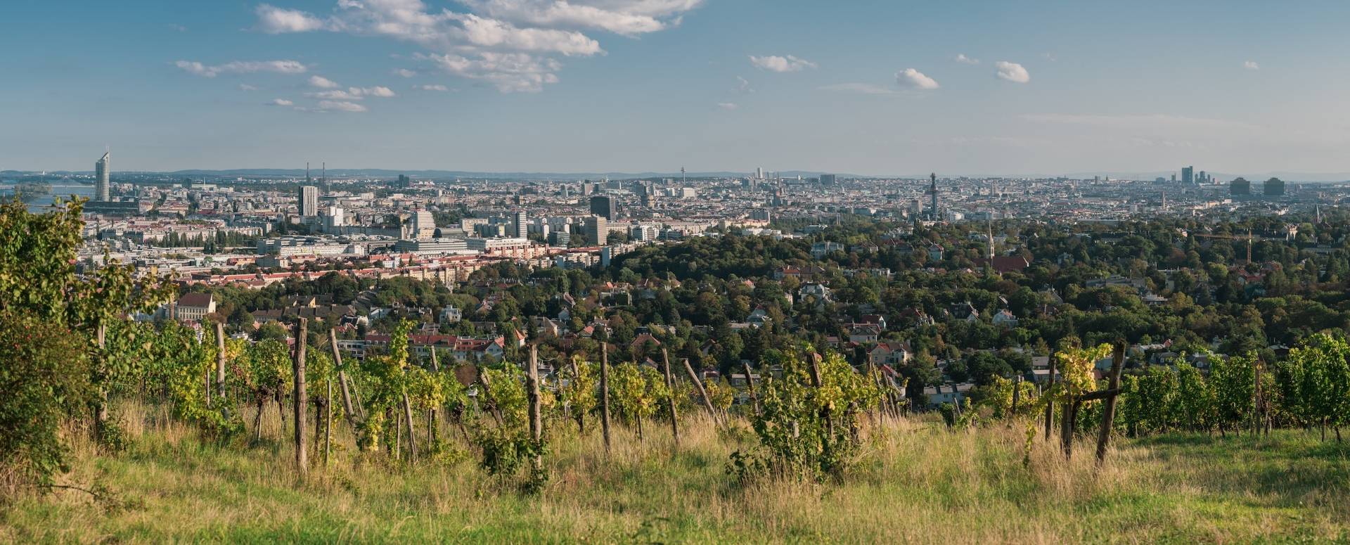 Visit IledeFrance, France BEST Wine tastings & Winery tours