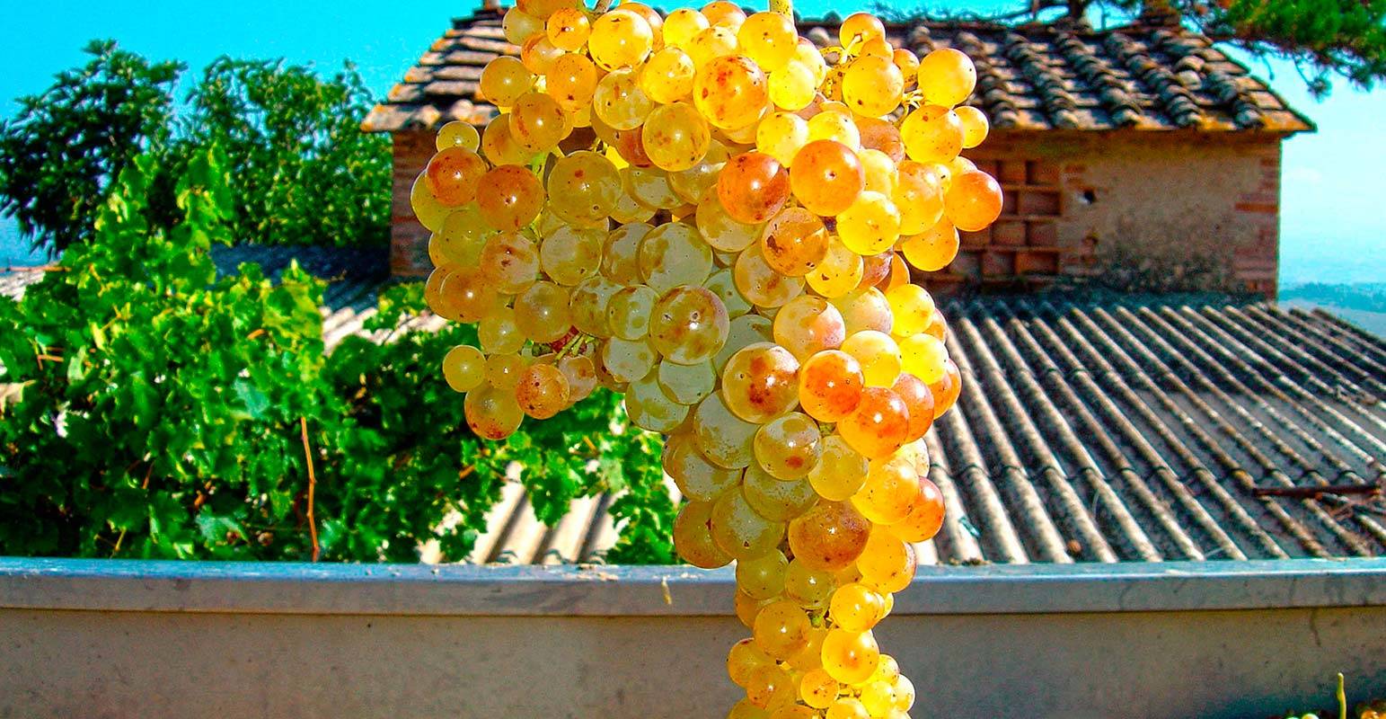  - Degustazione "3 Vini"