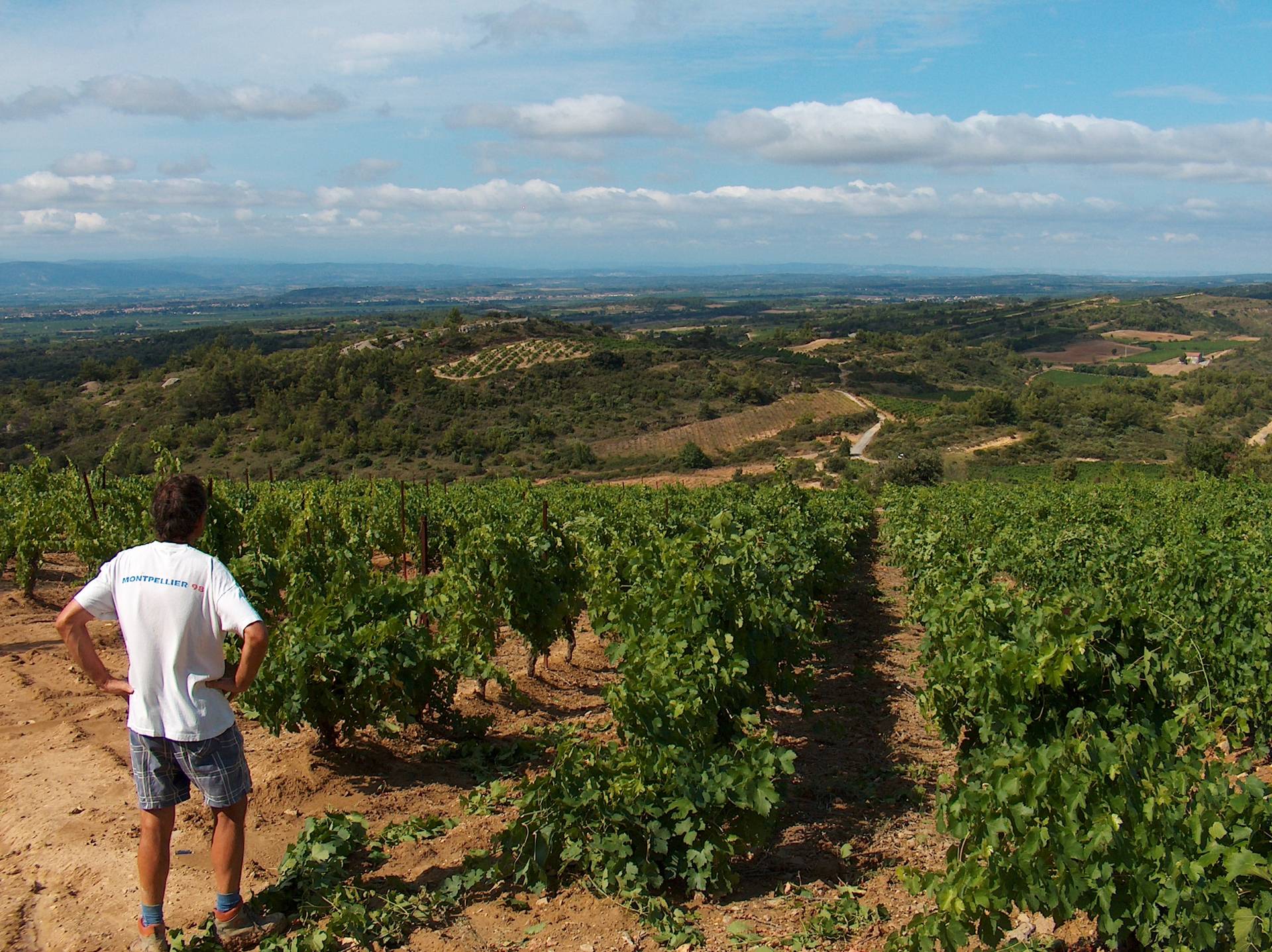 Domaine Combe Blanche