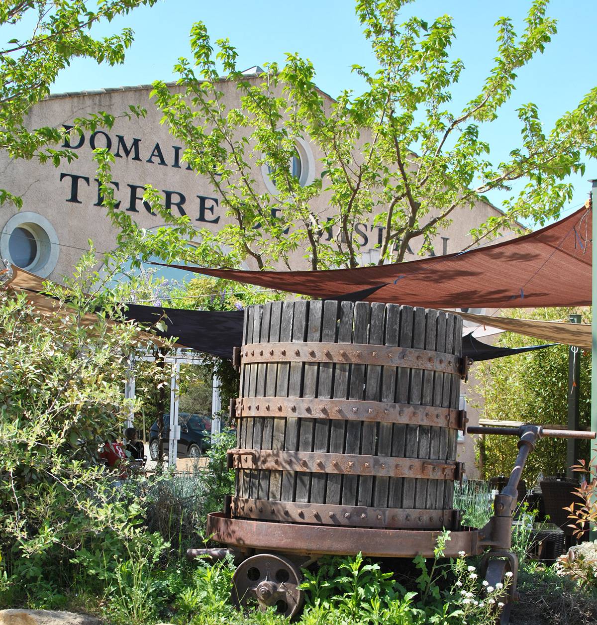  - Guidad rundtur i vår vinkällare och olivoljekvarn, följt av en provsmakning