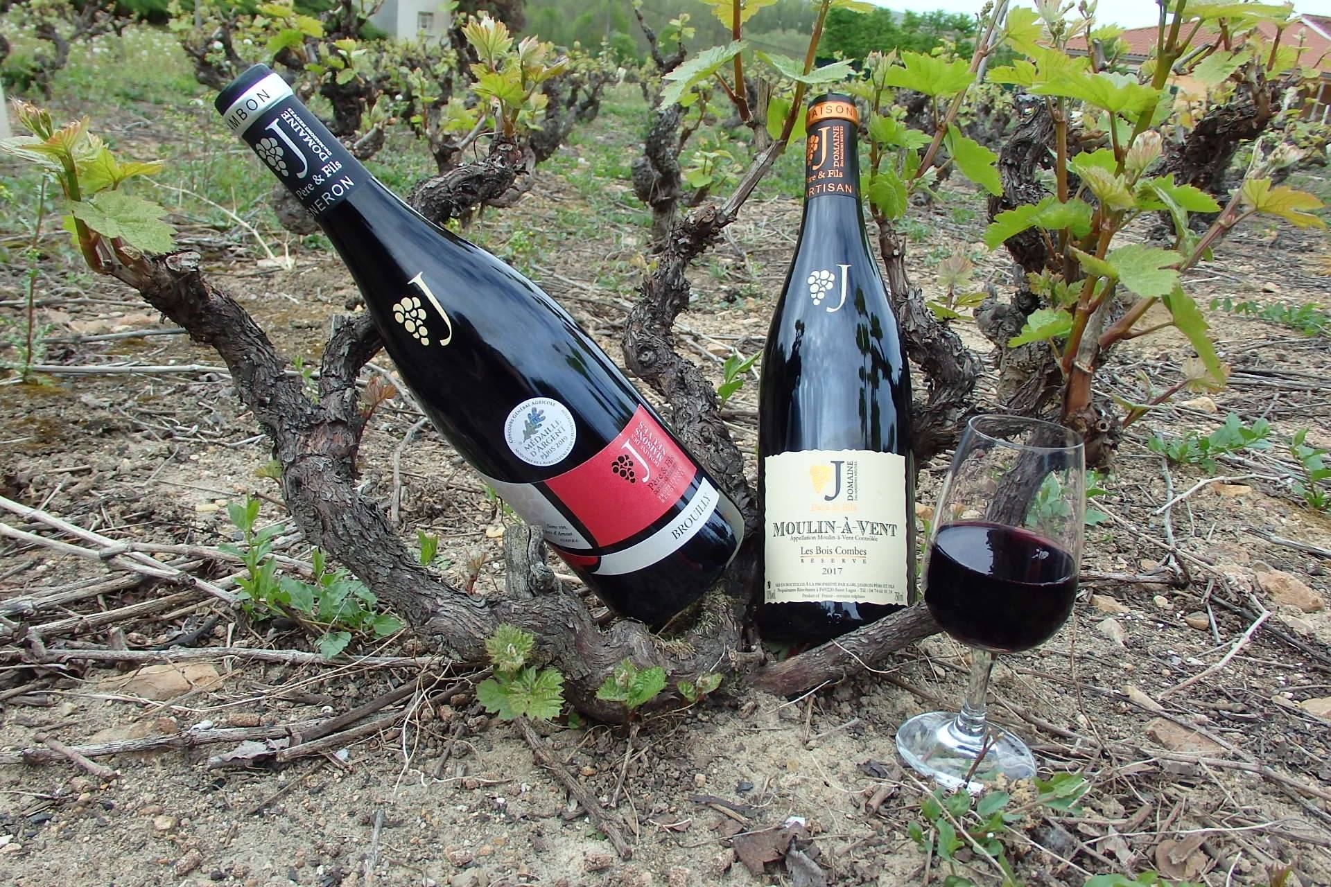 Visit and tasting of 6 wines