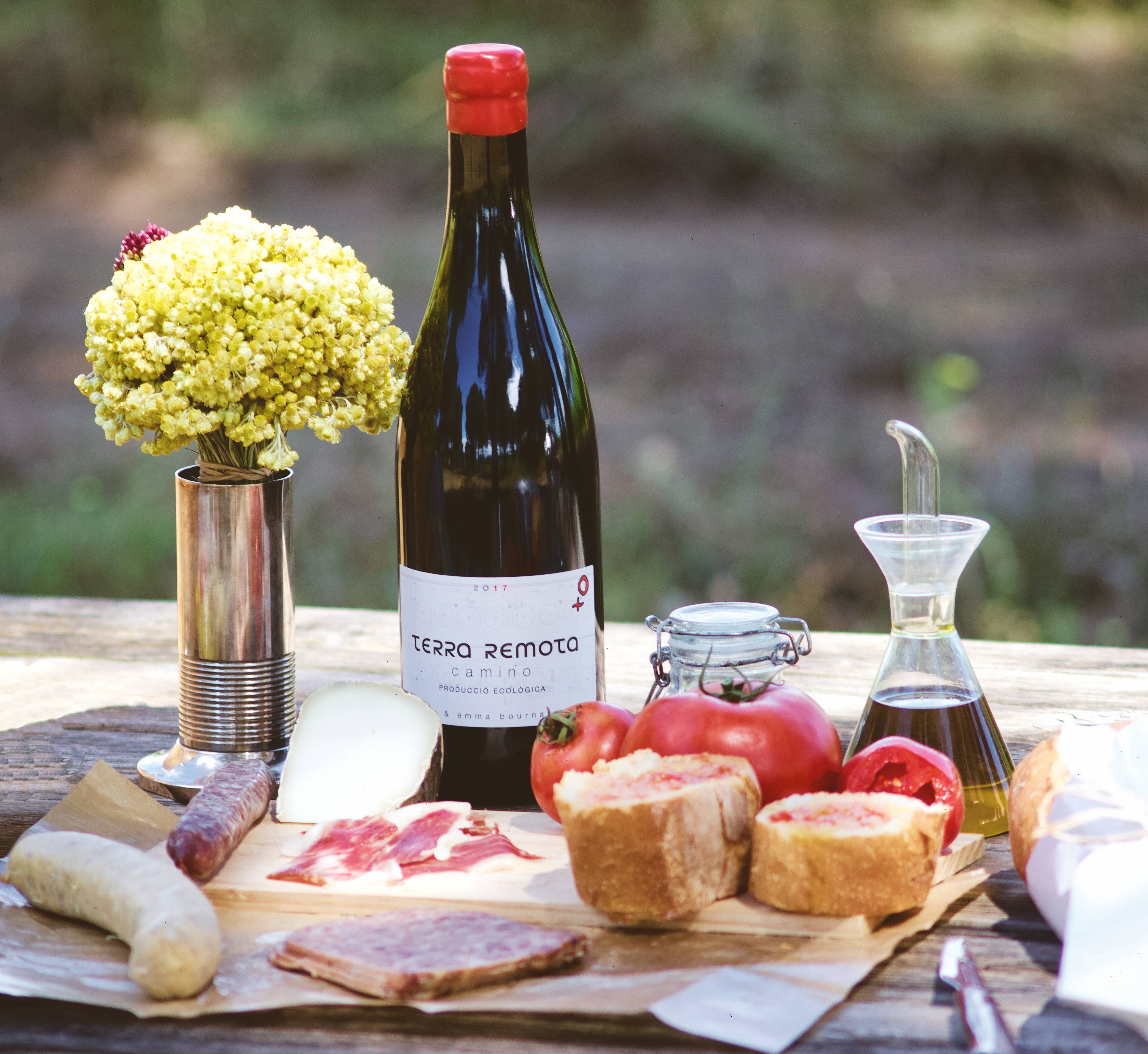  - Picnic in the vineyard 