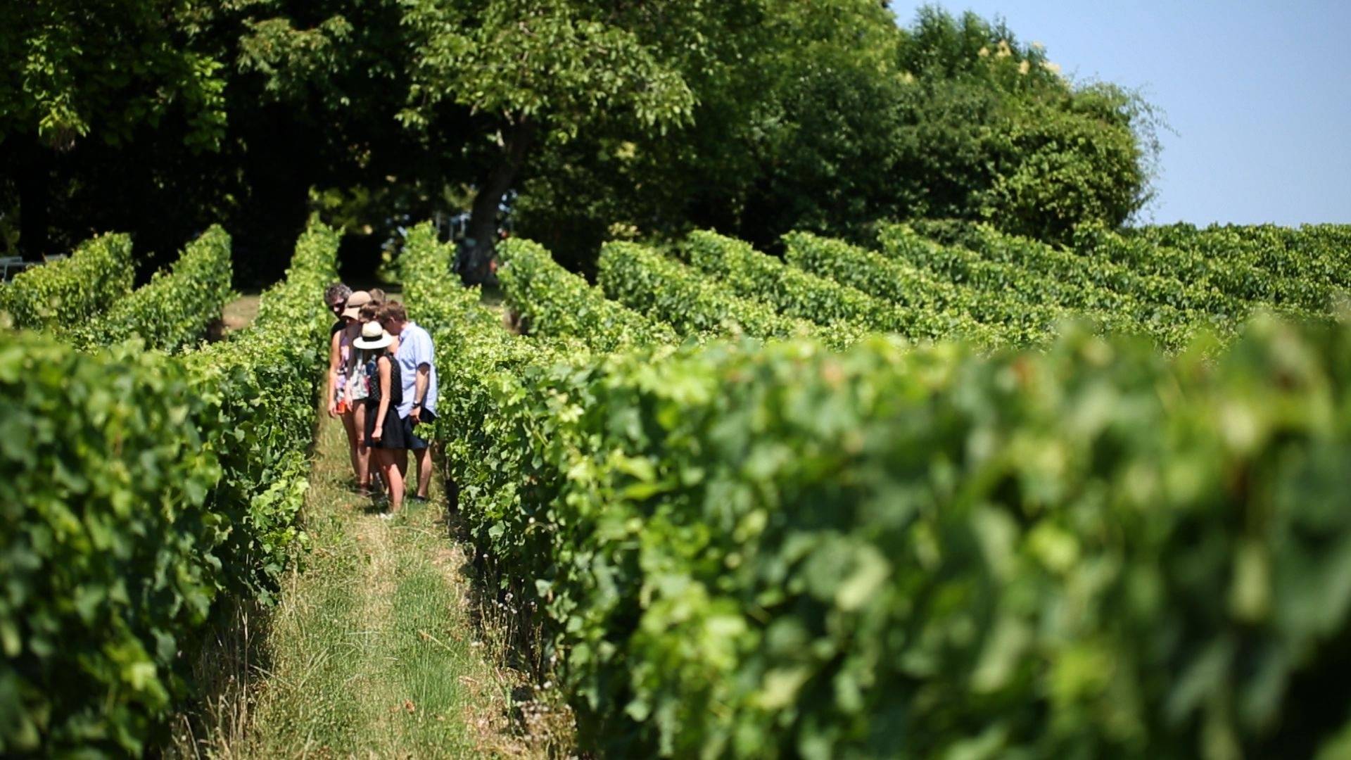 A La Française Bordeaux