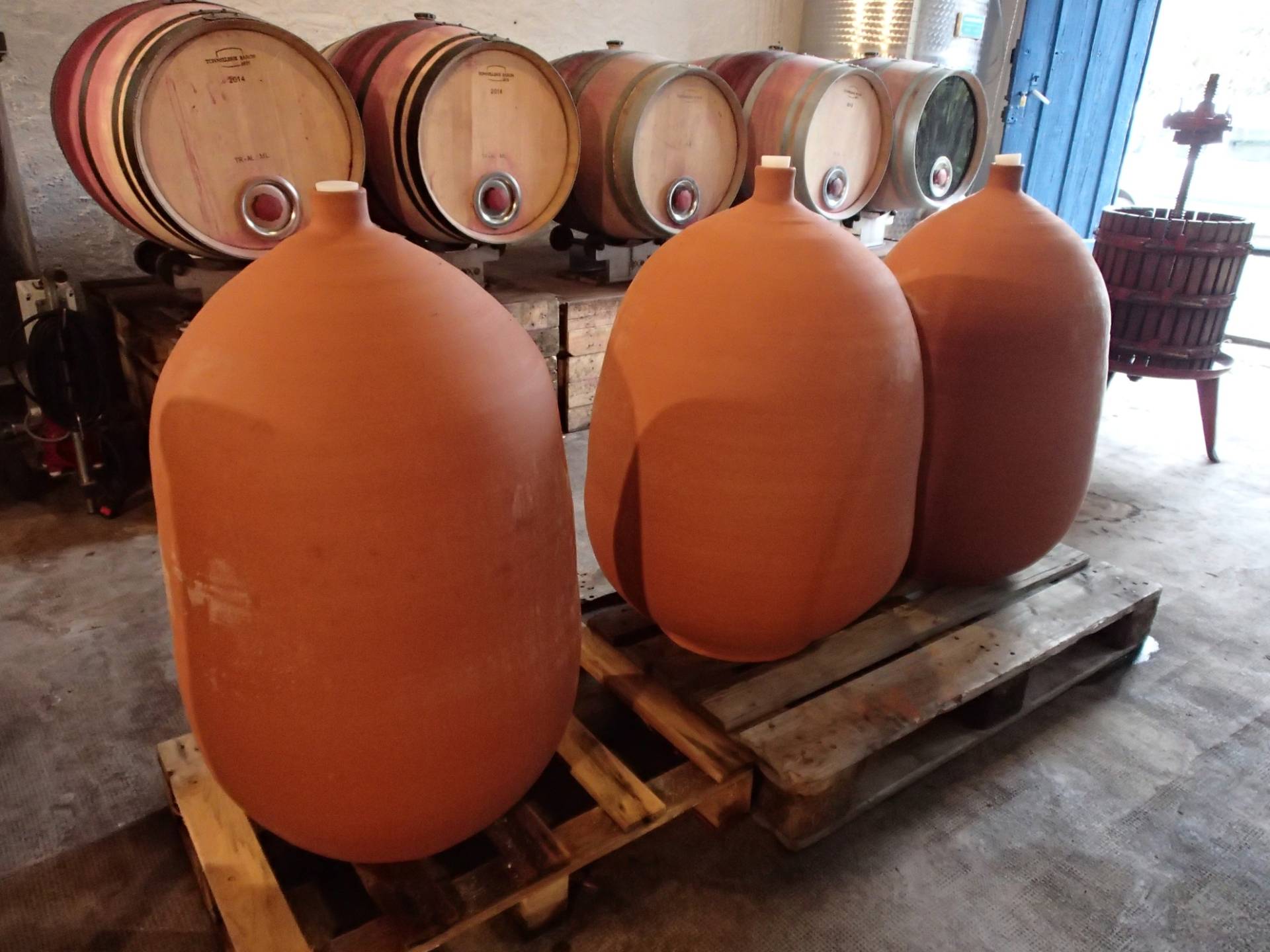 Visit and tasting of 7 organic and natural wines