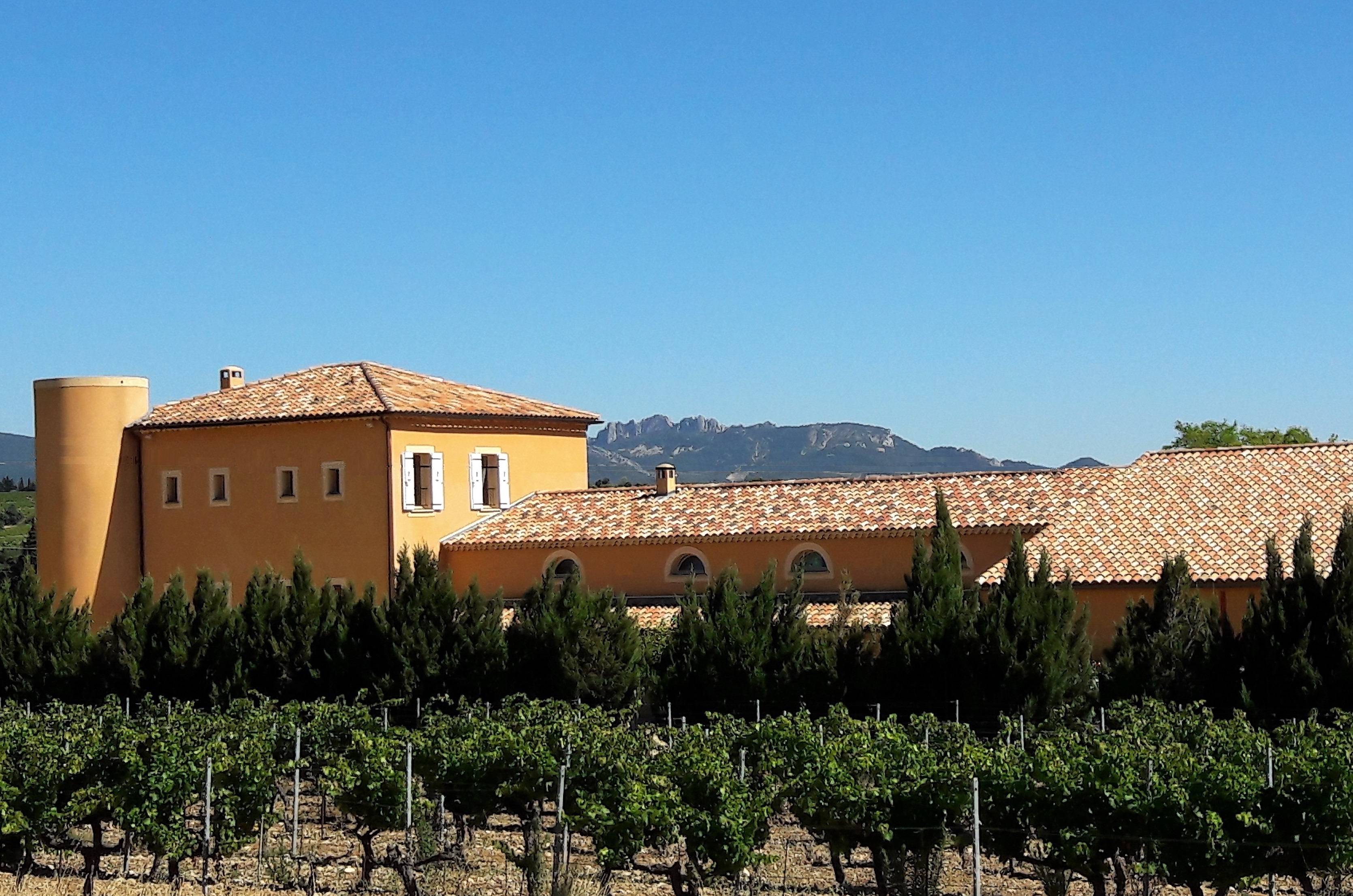  - Discovery: fun tasting