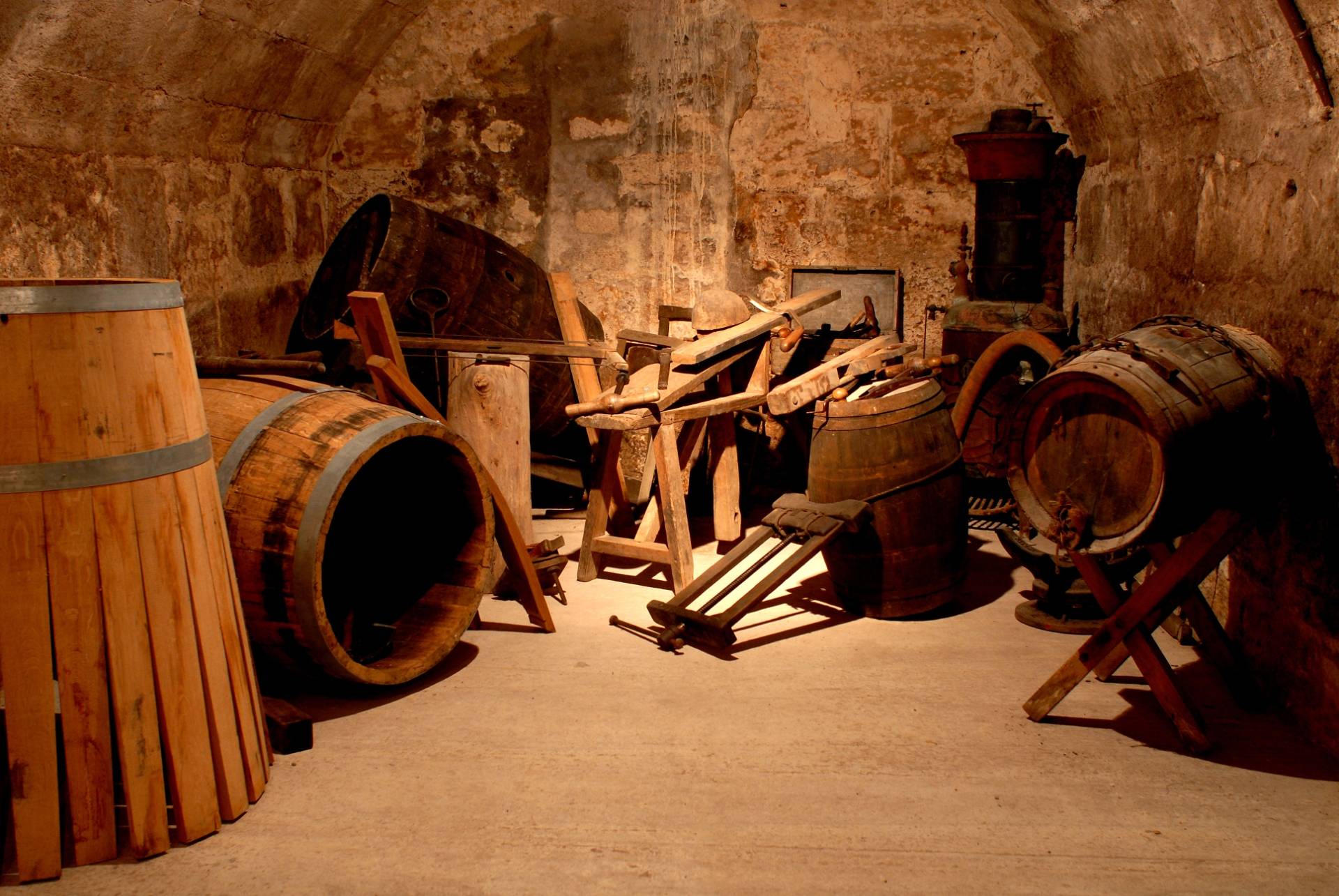 Museum visit and wine tasting