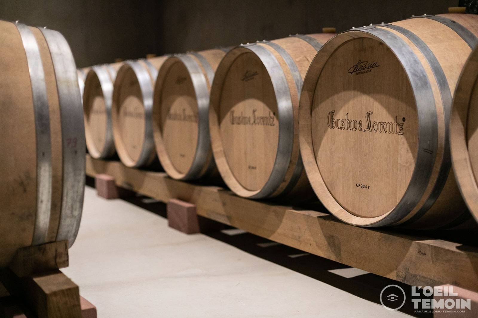 Visit of the Cellar and Tasting at the Cellar