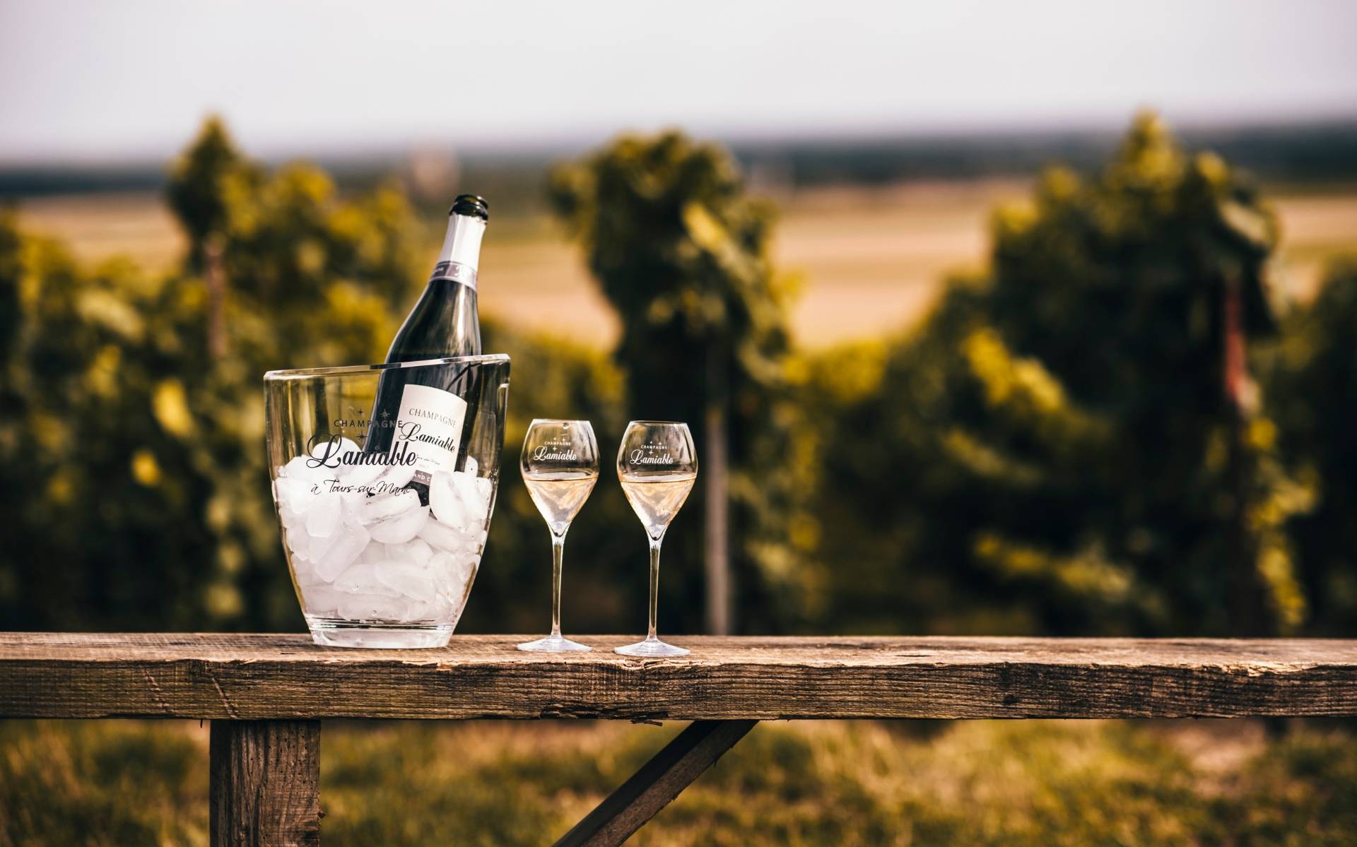 Traditional visit and tasting 