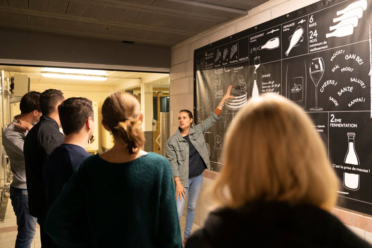  - Morning Champagne Taittinger & family grower