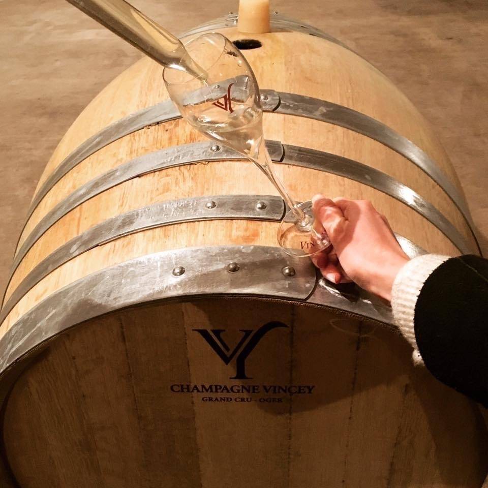 Premium visit and tasting of the biodynamic estate