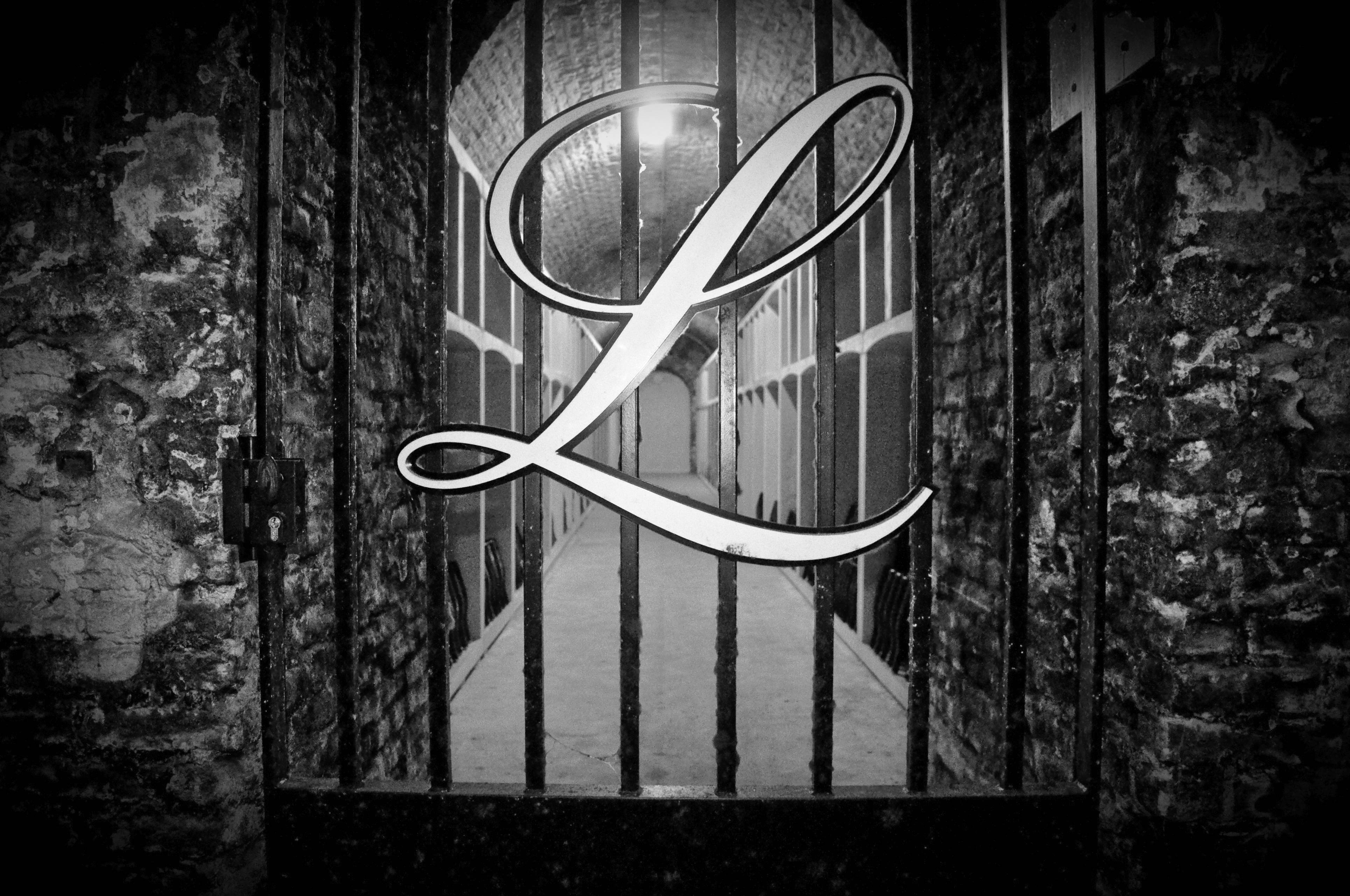  - "Discovery" Experience