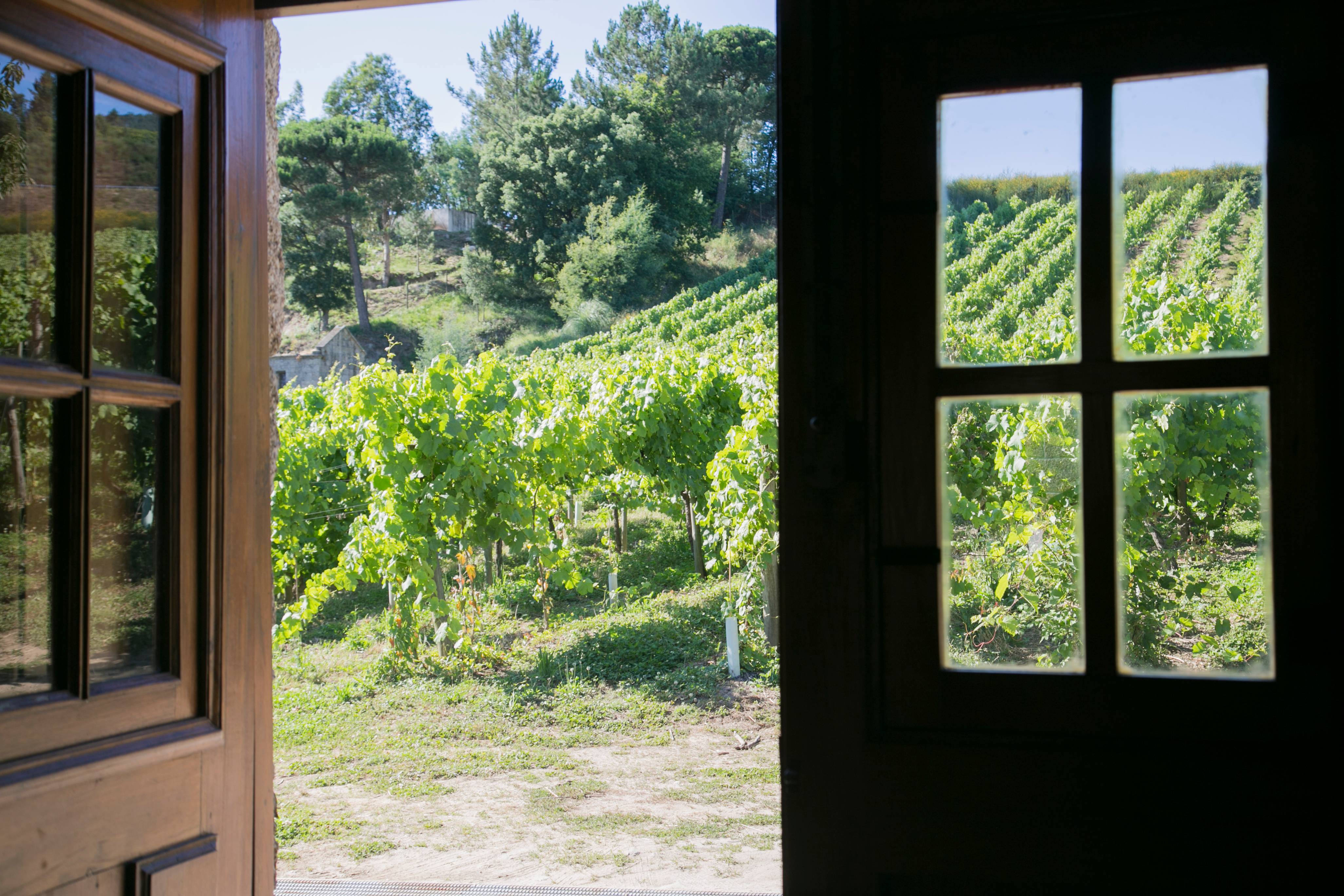  - Visita à Quinta e prova de Vinho Verde