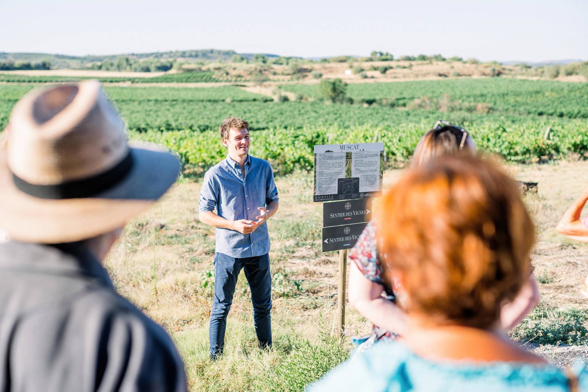 Vine & Wine Evening: visit and tasting