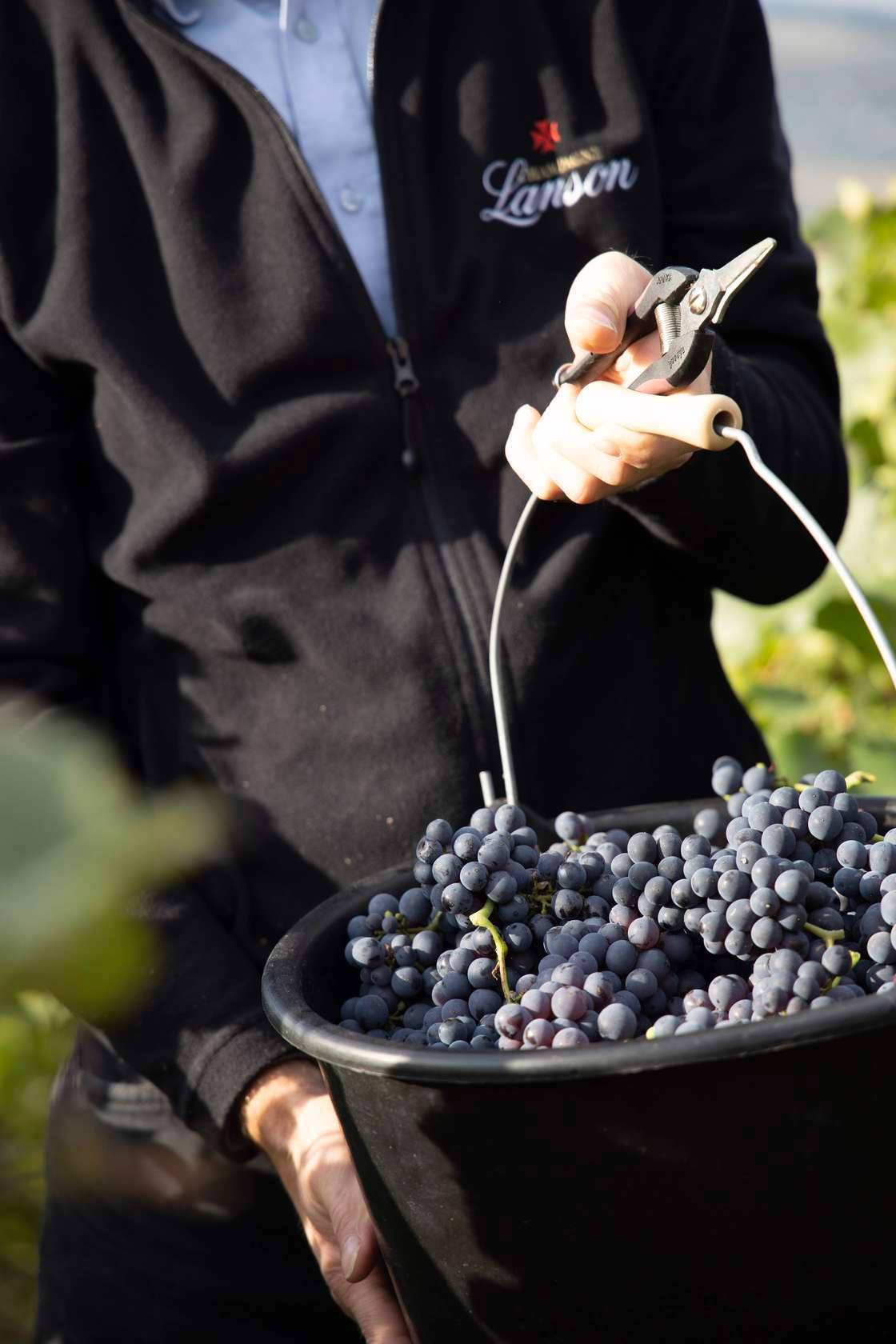  - "Reservera" upplevelse