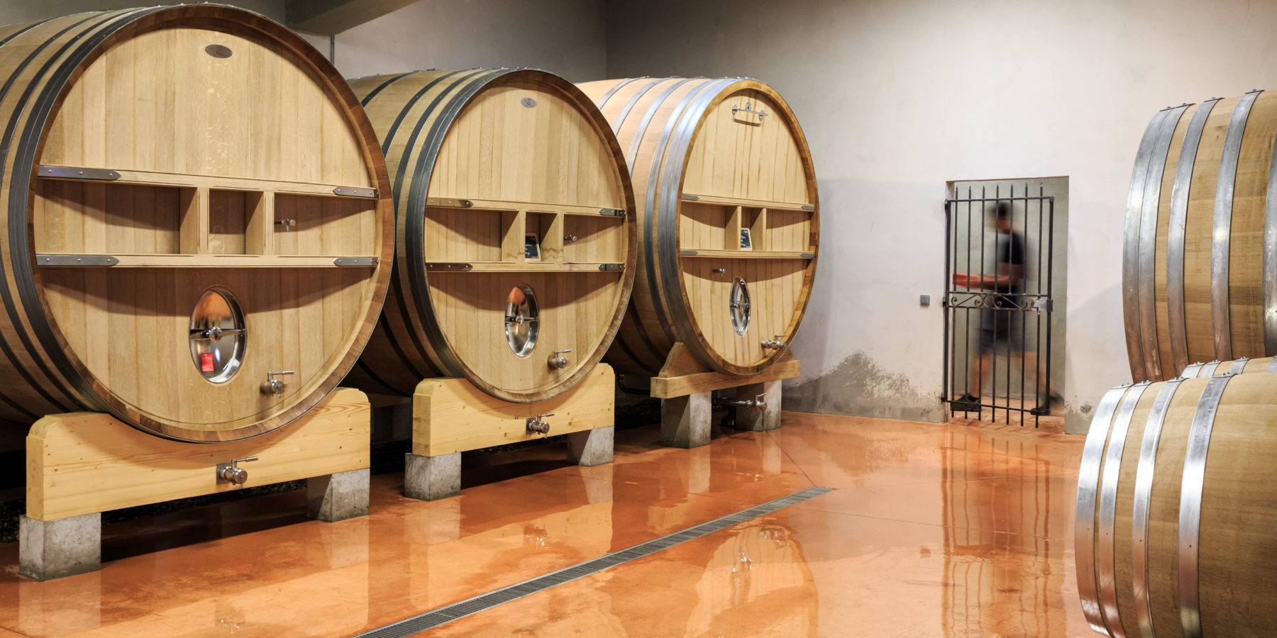  - Tour-tasting: From vine to wine