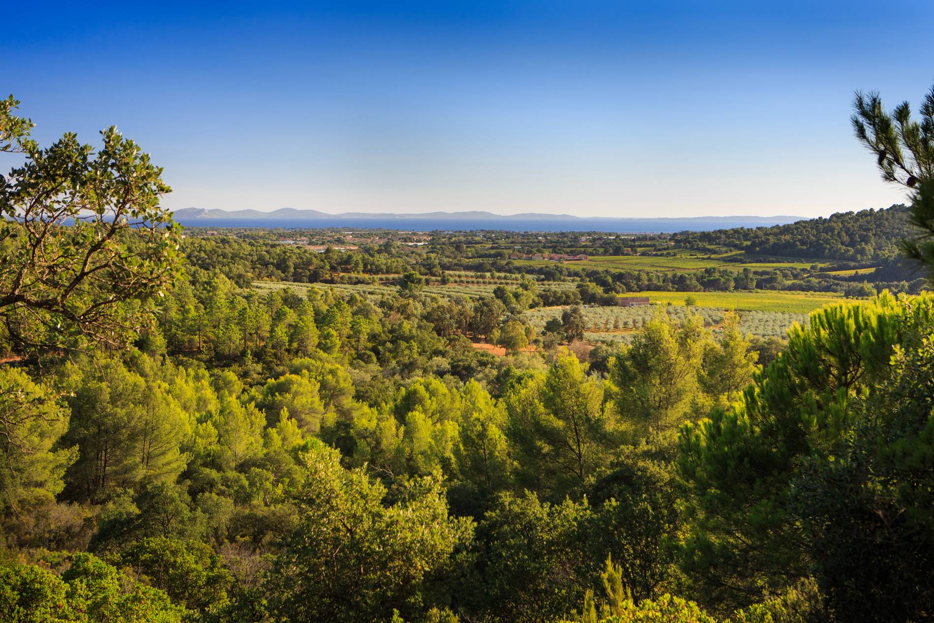  - Kartanon vierailu ja viinien maistelu
