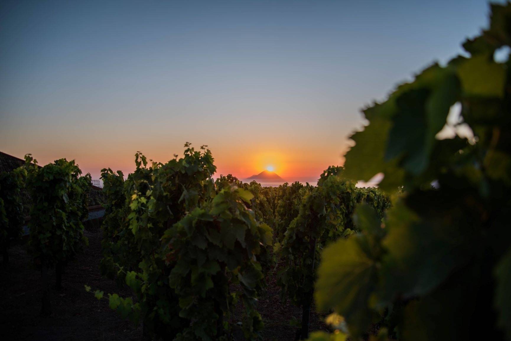 Tenuta Di Castellaro 