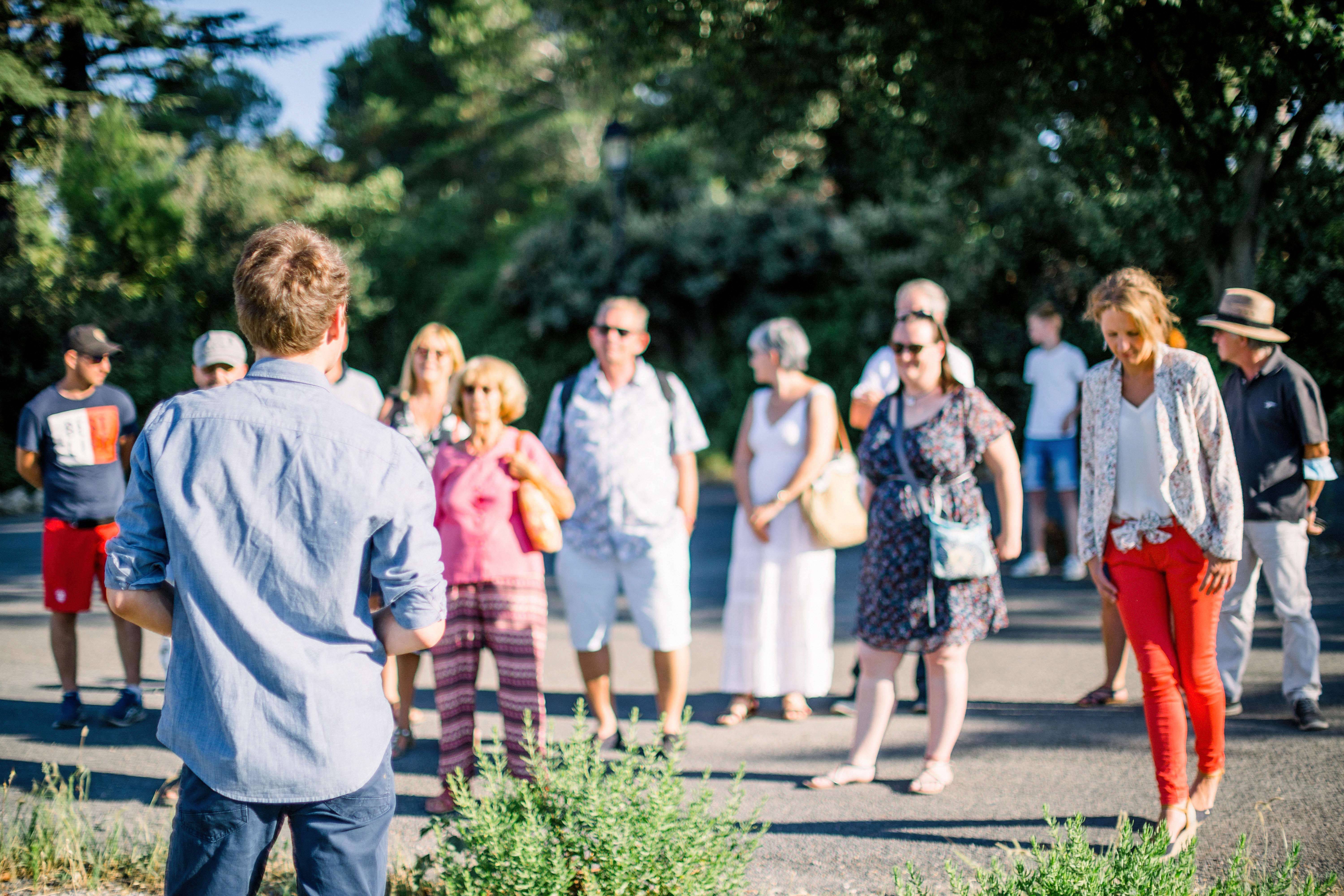  - Vine & Wine Evening: visit and tasting