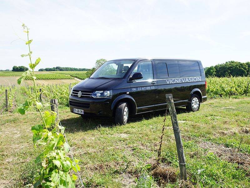  - Gourmet Provence: Wine & Olive Oil