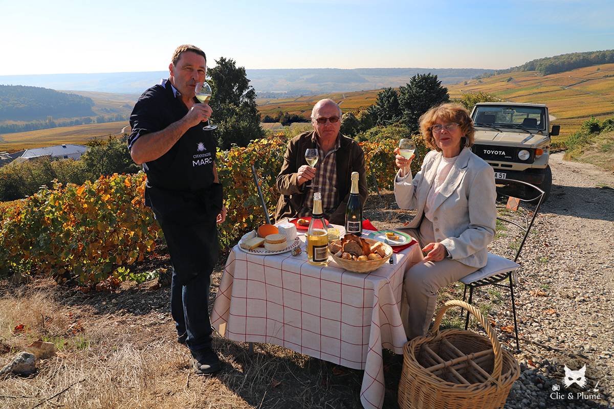  - A unique sensory expérience in the vineyards