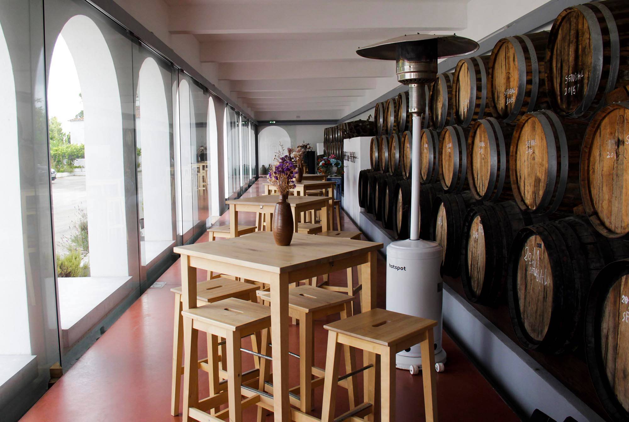  - Programa Paladares