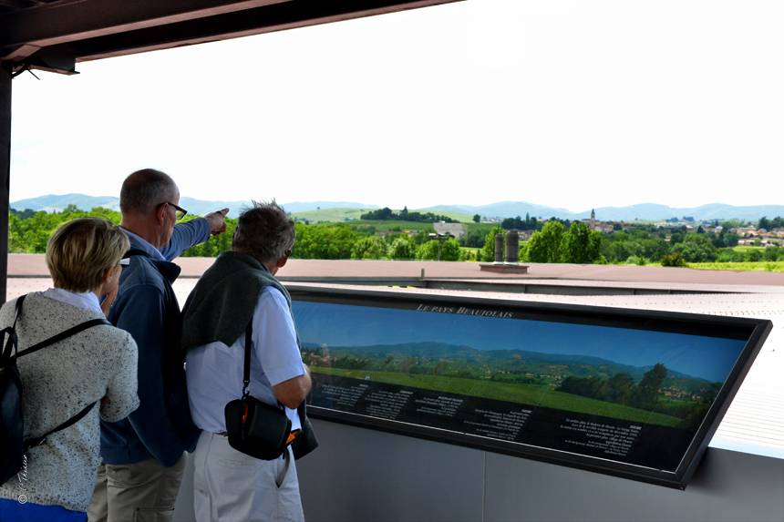  - Gardens and paradise of tastes and behind the scenes of winemaking