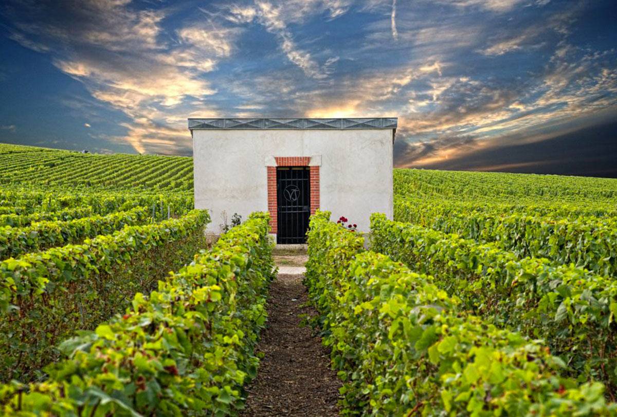  - Winegrower's lunch