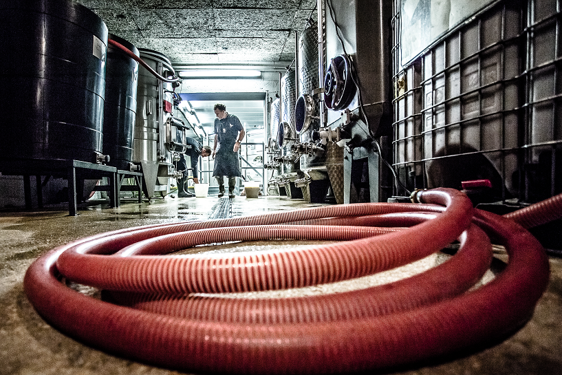 Dans les Pas d'un Vigneron