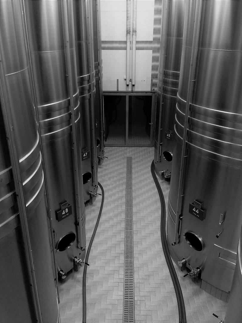 Découverte gustative