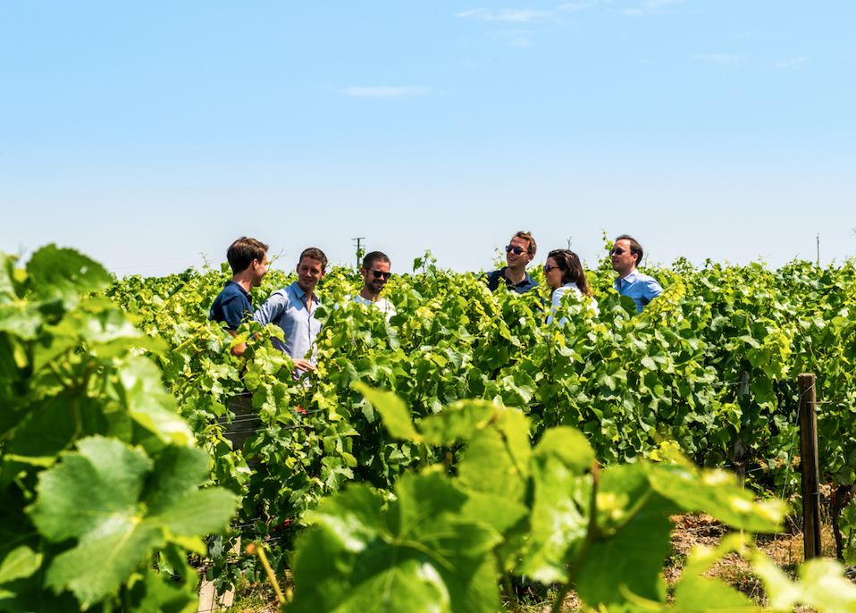  - Morning Champagne Taittinger & family grower
