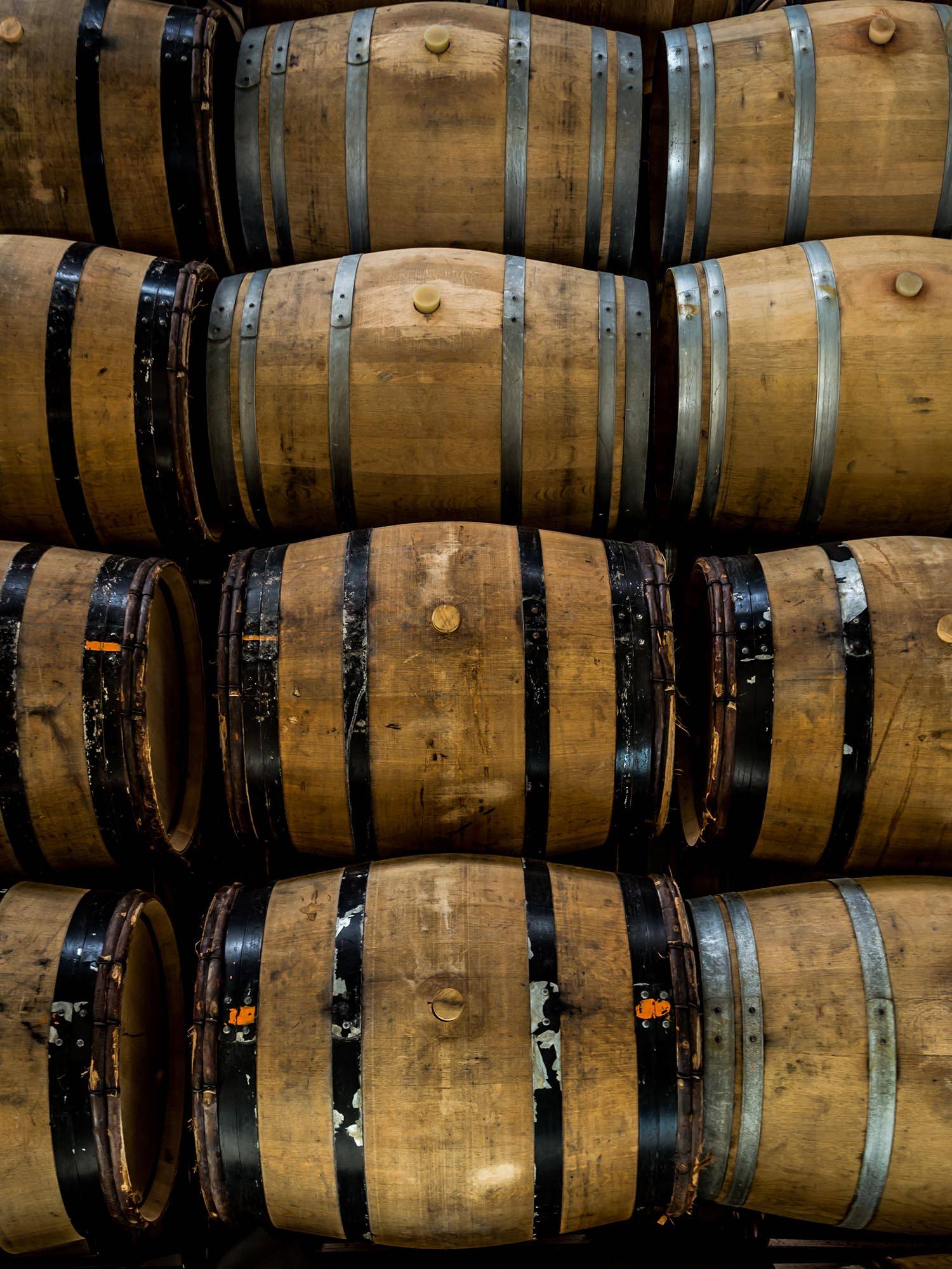  - Tour "the art of winemaking"