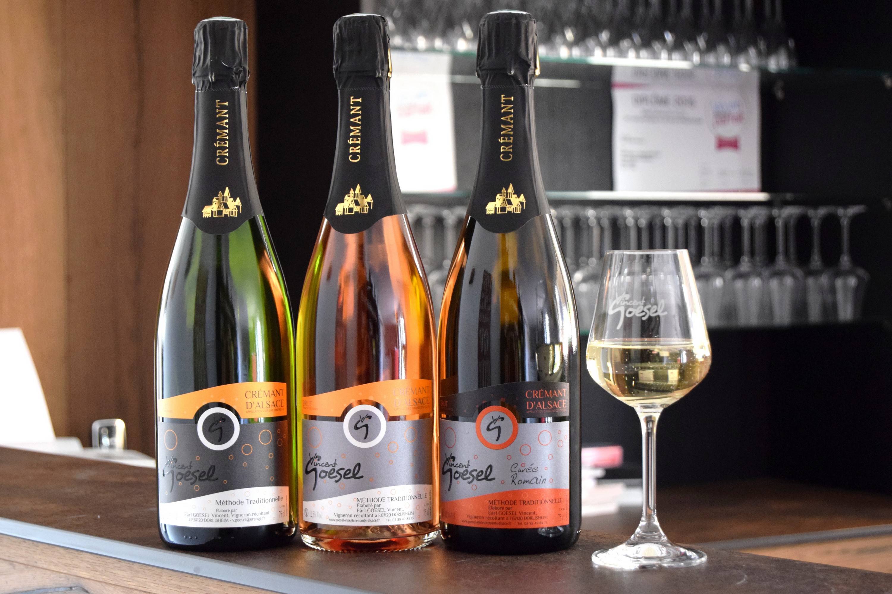  - Electric bike ride in the Alsatian vineyard