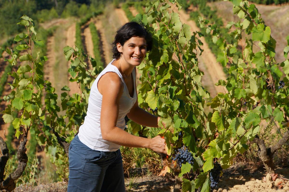  - Tasting : Winemaker aperitif