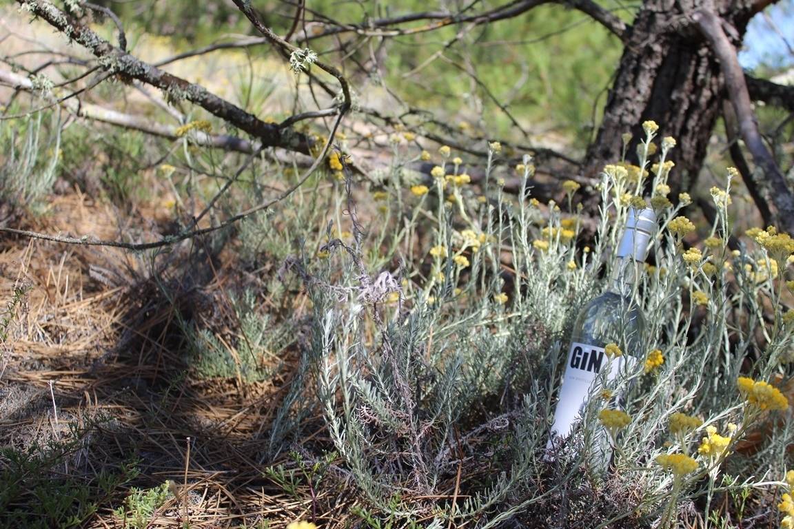 Château Lartigue Cèdres & Distillerie 
