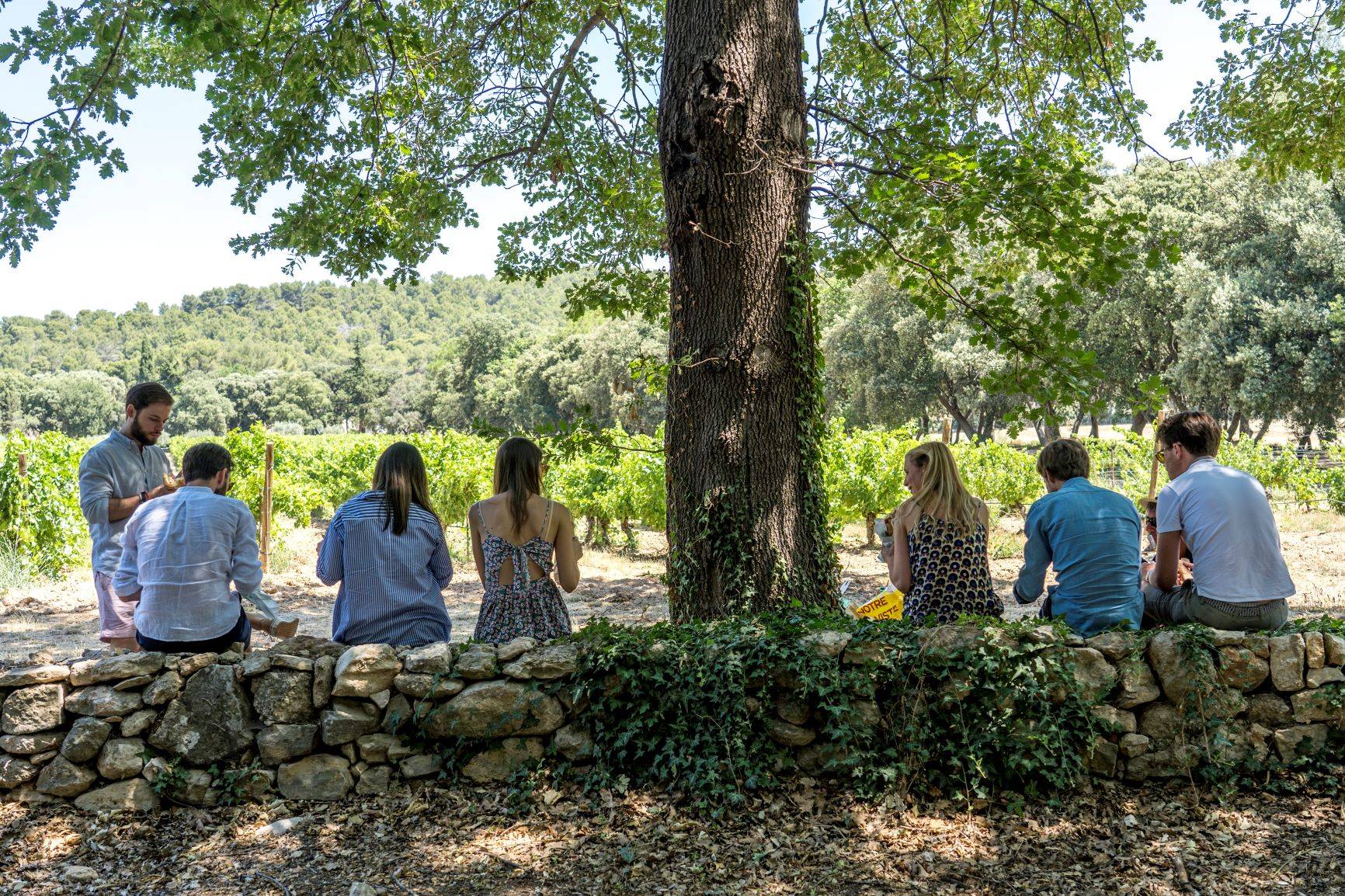  - Wine tour Tavel & Châteauneuf-du-Pape