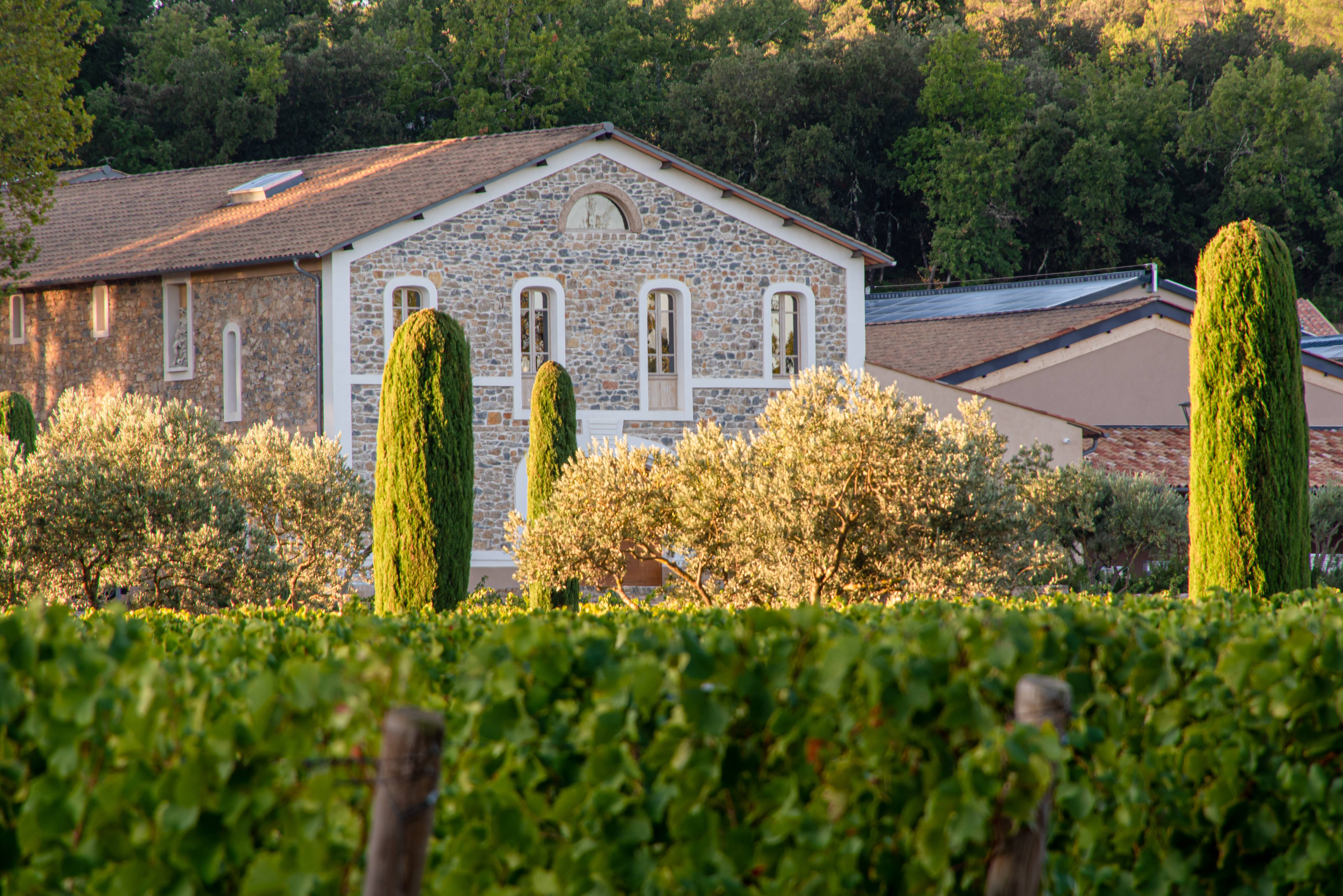  - Hämmästyttävä vierailu yhteen Provencen moderneimmista kellareista ja maistelu