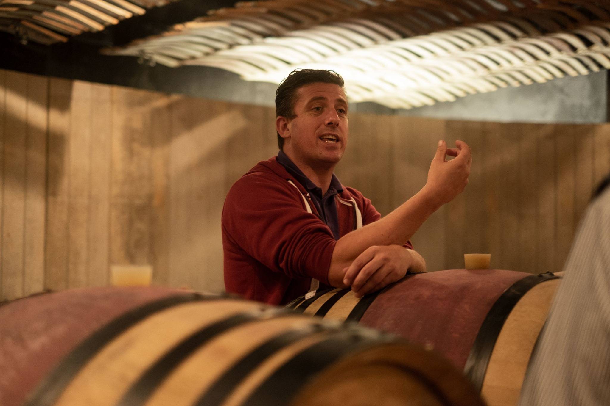  - Visit of the cellar and tasting of the Domaine's organic wines