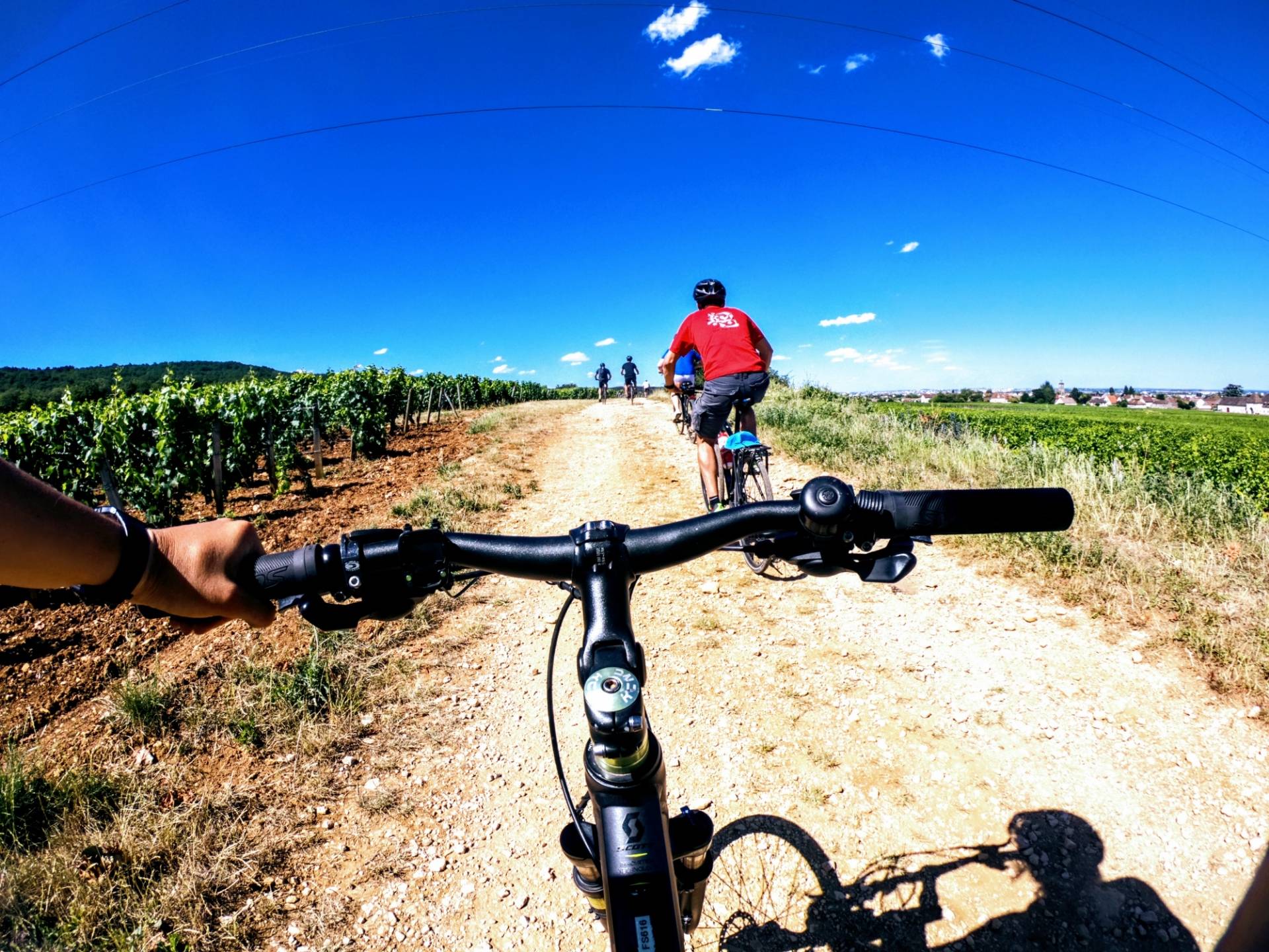 Discovery of the Burgundy vineyards by bike and tasting