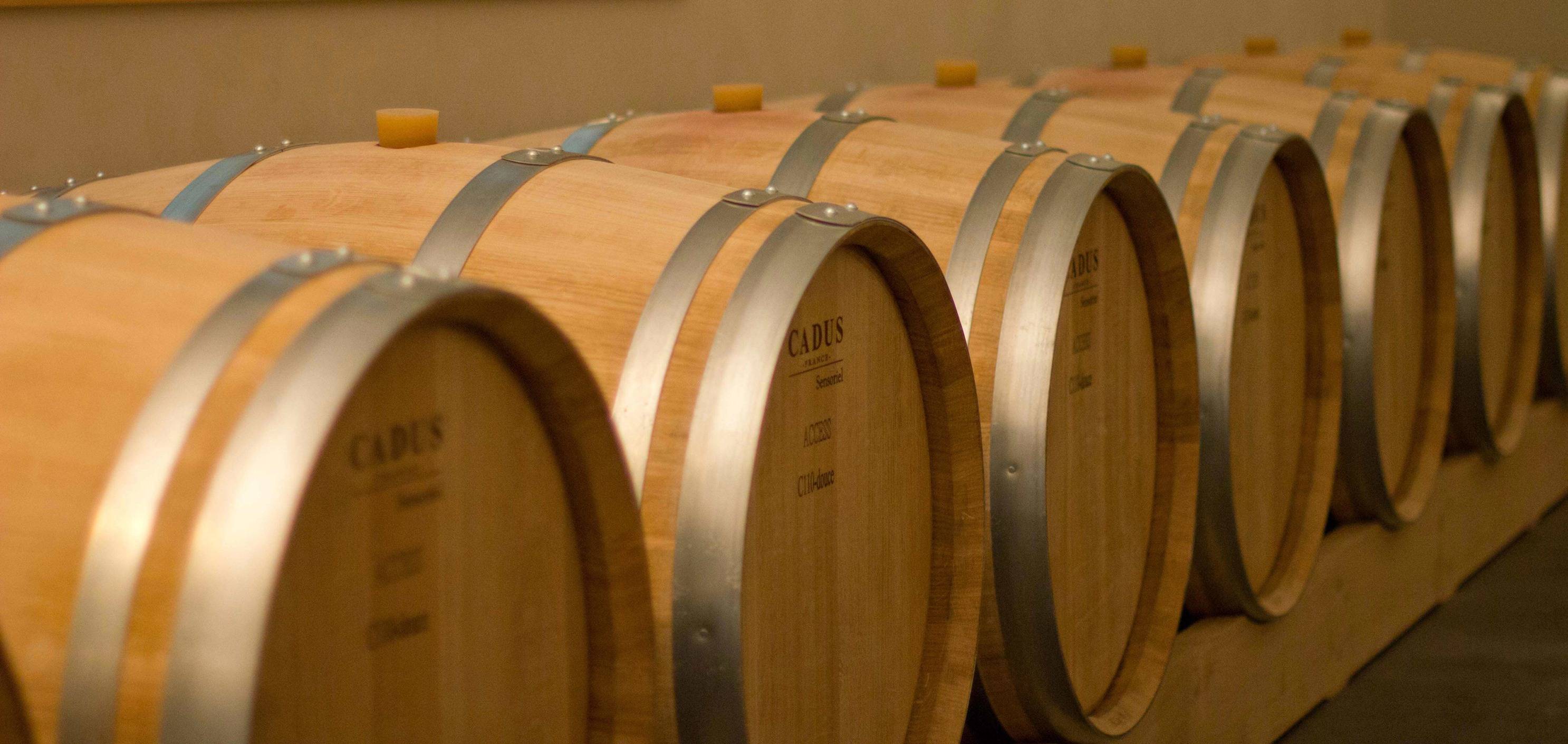  - Oenological workshop at the Château Vaudois