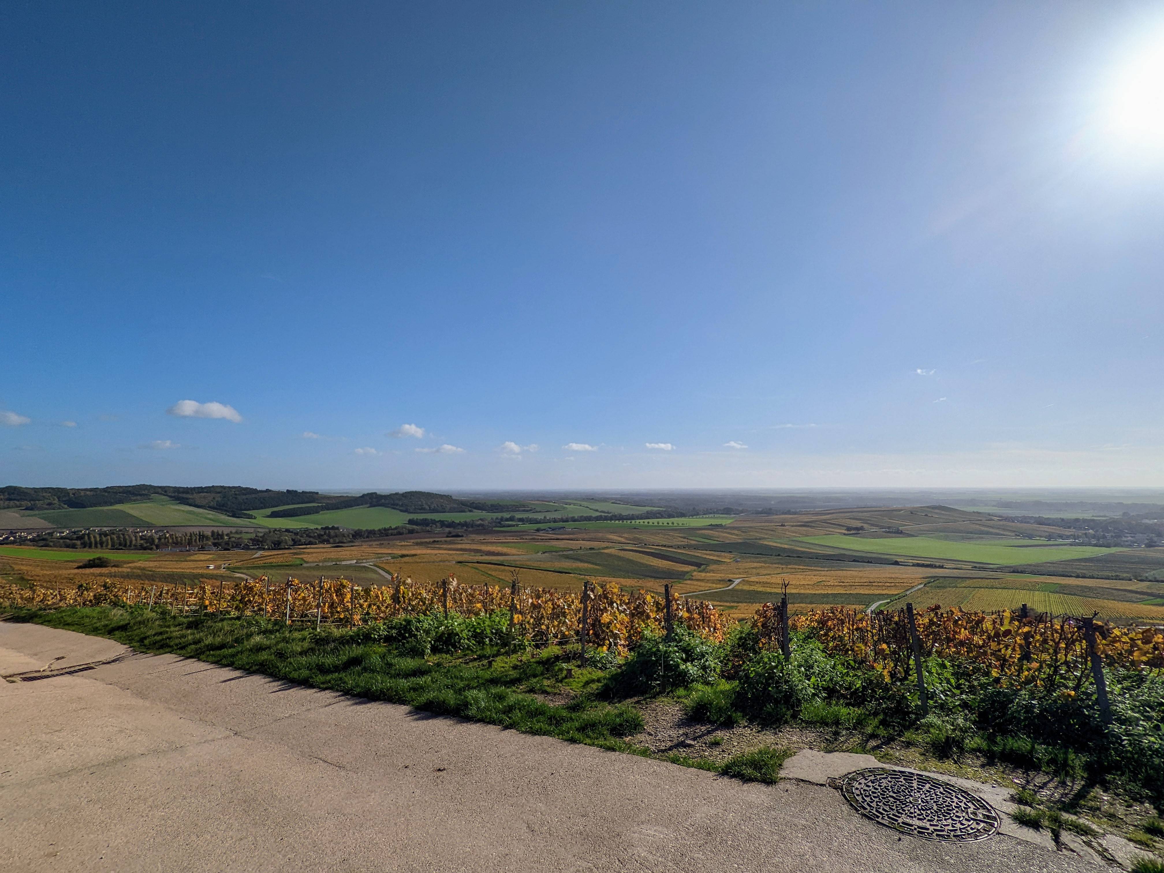 La visite du sentier du Vigneron - Le Sentier du Vigneron - Winalist - 1