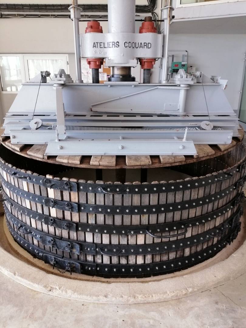 Découverte gustative