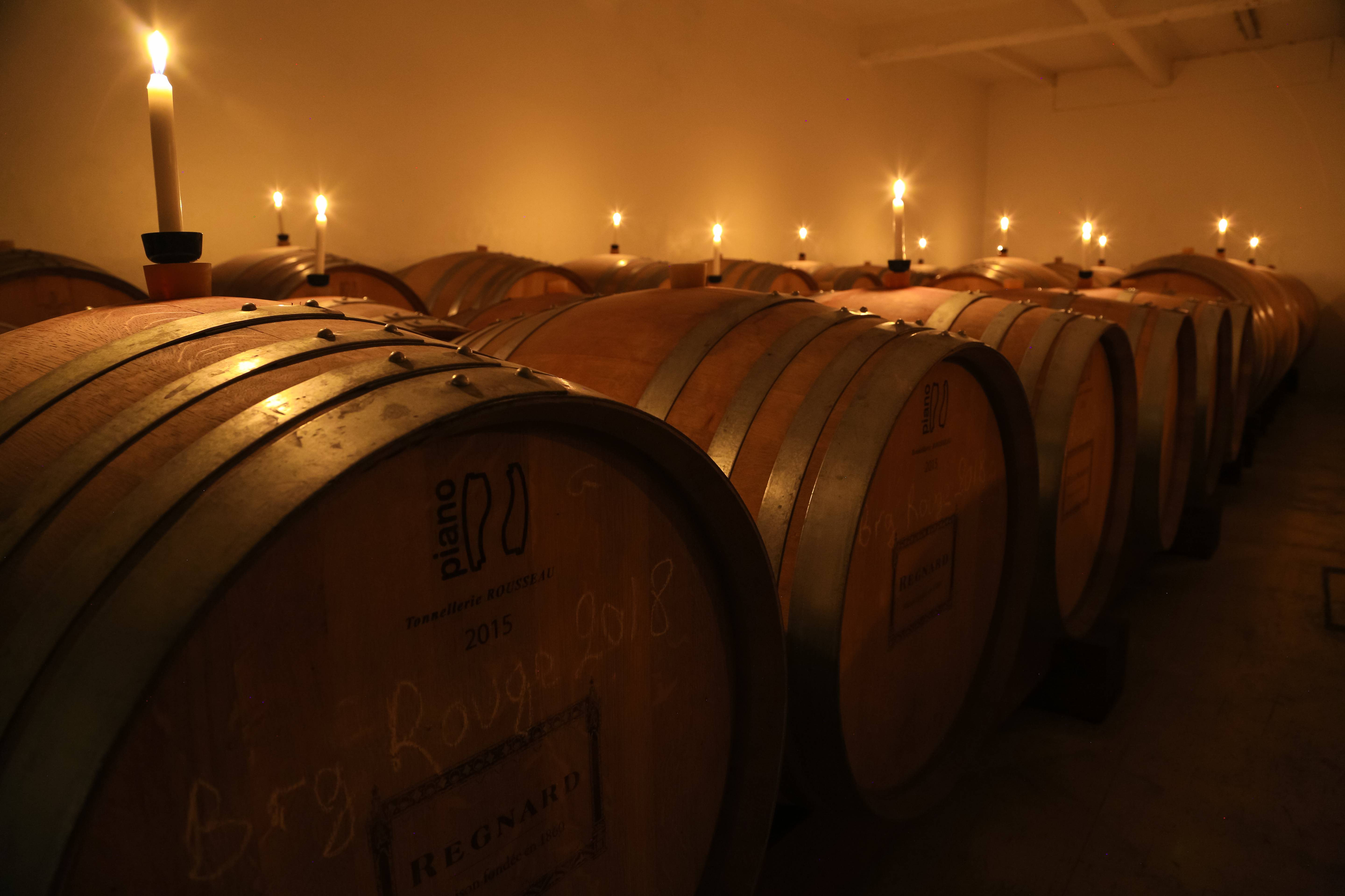  - Chablis: Privatbesuch und Verkostung und Mittagessen in den Salons