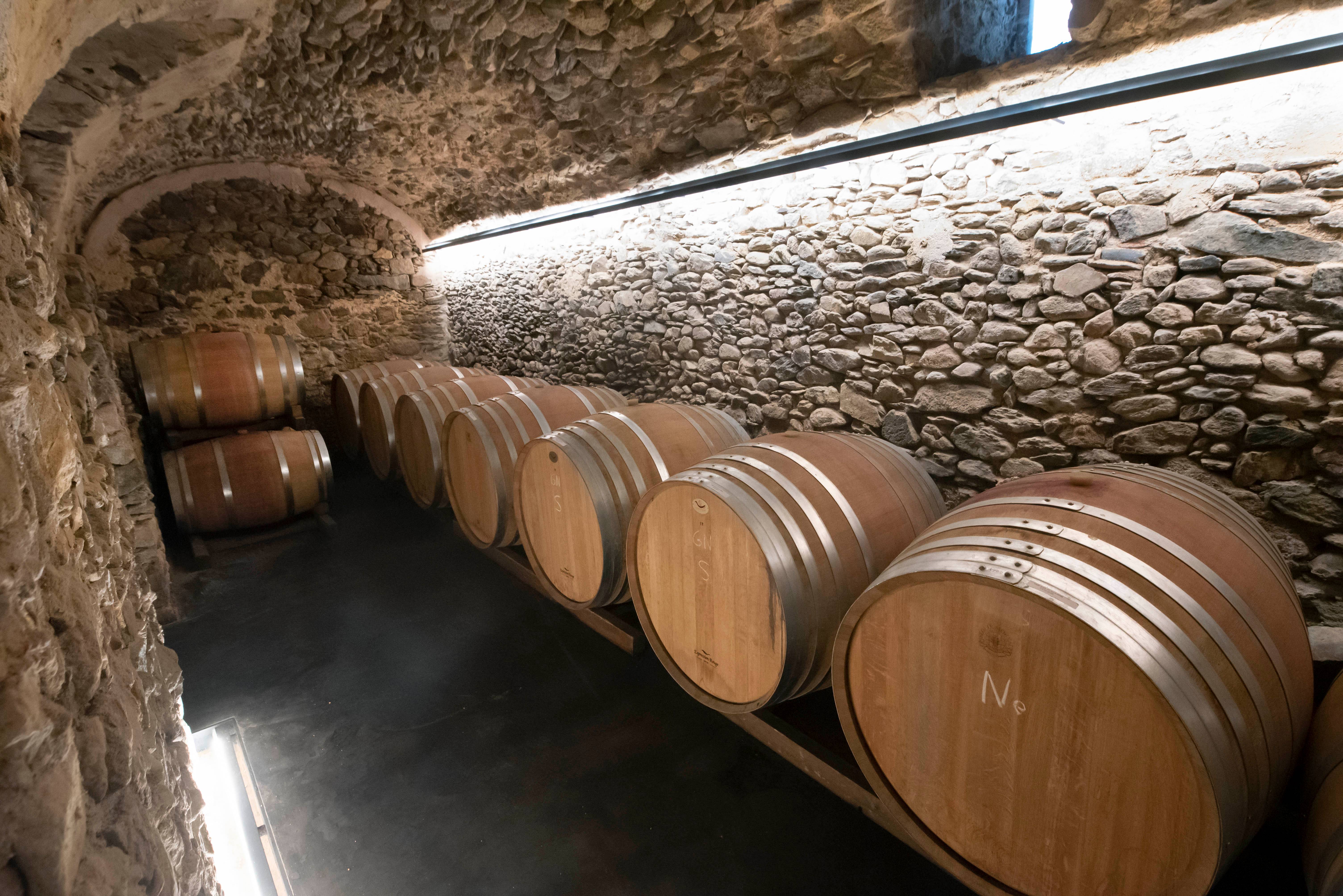  - Bezoek aan de kelder en proeverijen