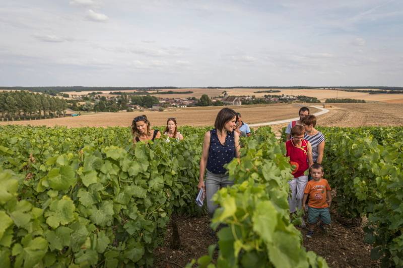  - Gouton Mâchon, table d'hôtes do viticultor: visita e degustação