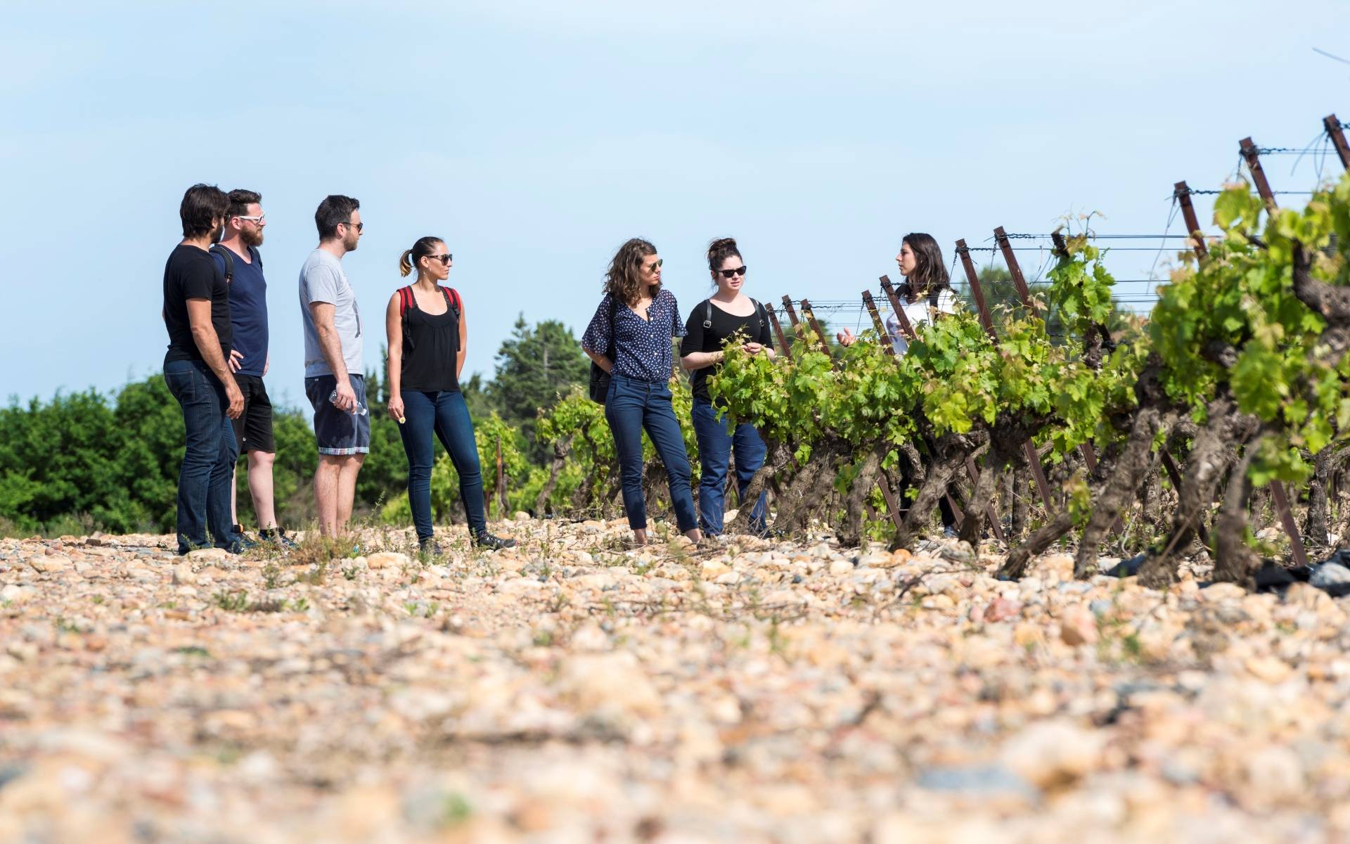 Playful olfactory experience