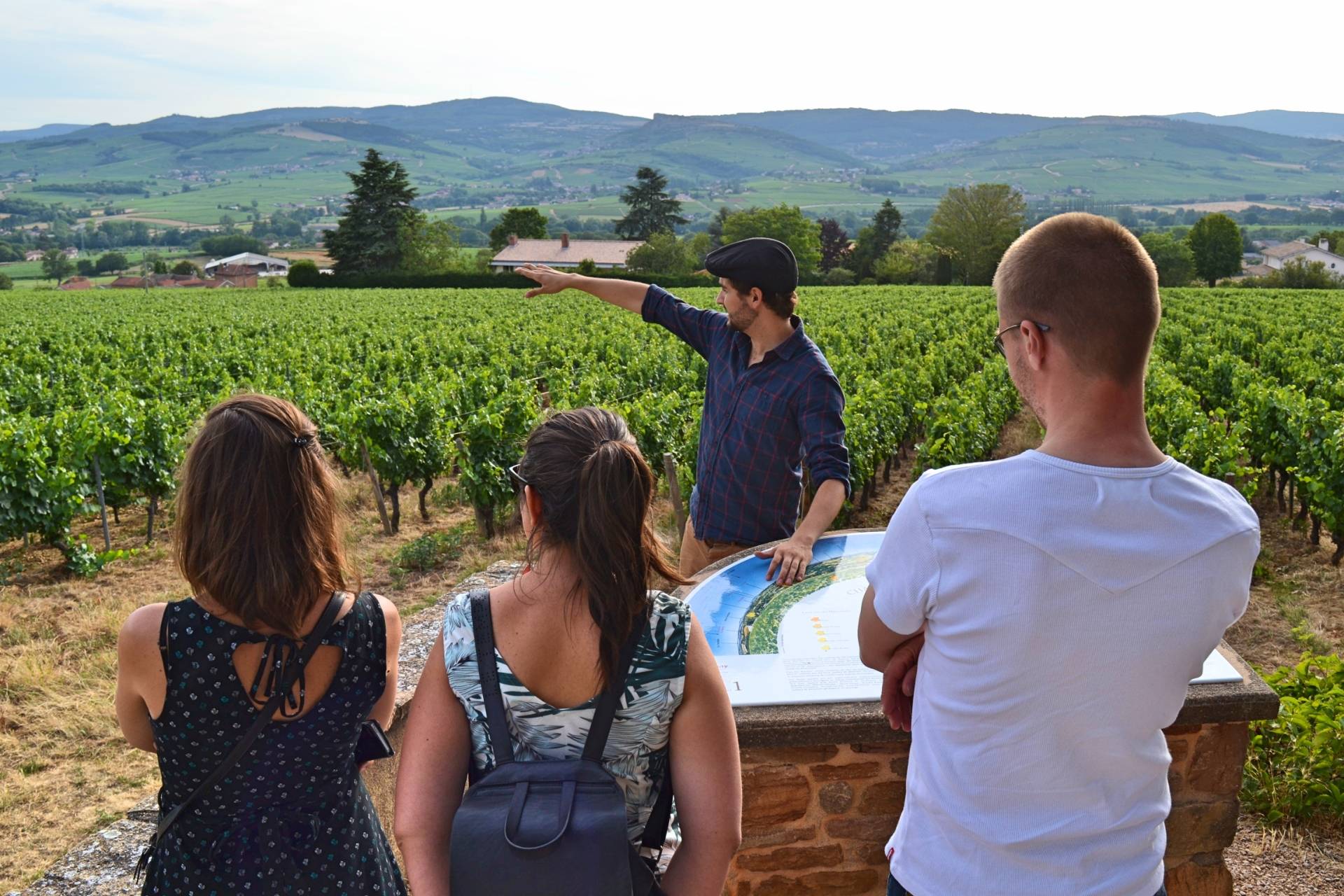 Wine Tour in The Mâcon wine region - Start from Mâcon