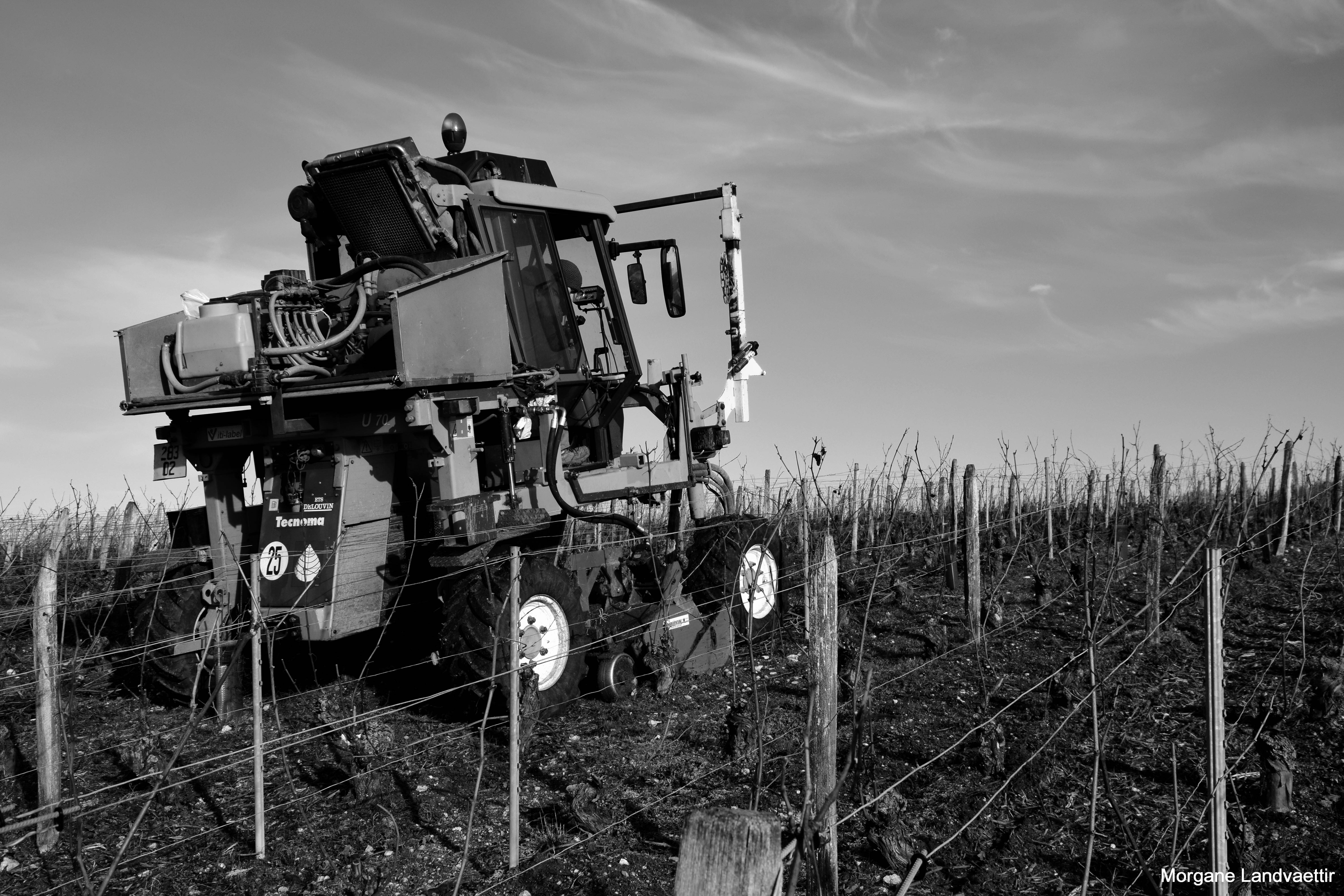 Visite du vignoble & dégustation de 5 champagne