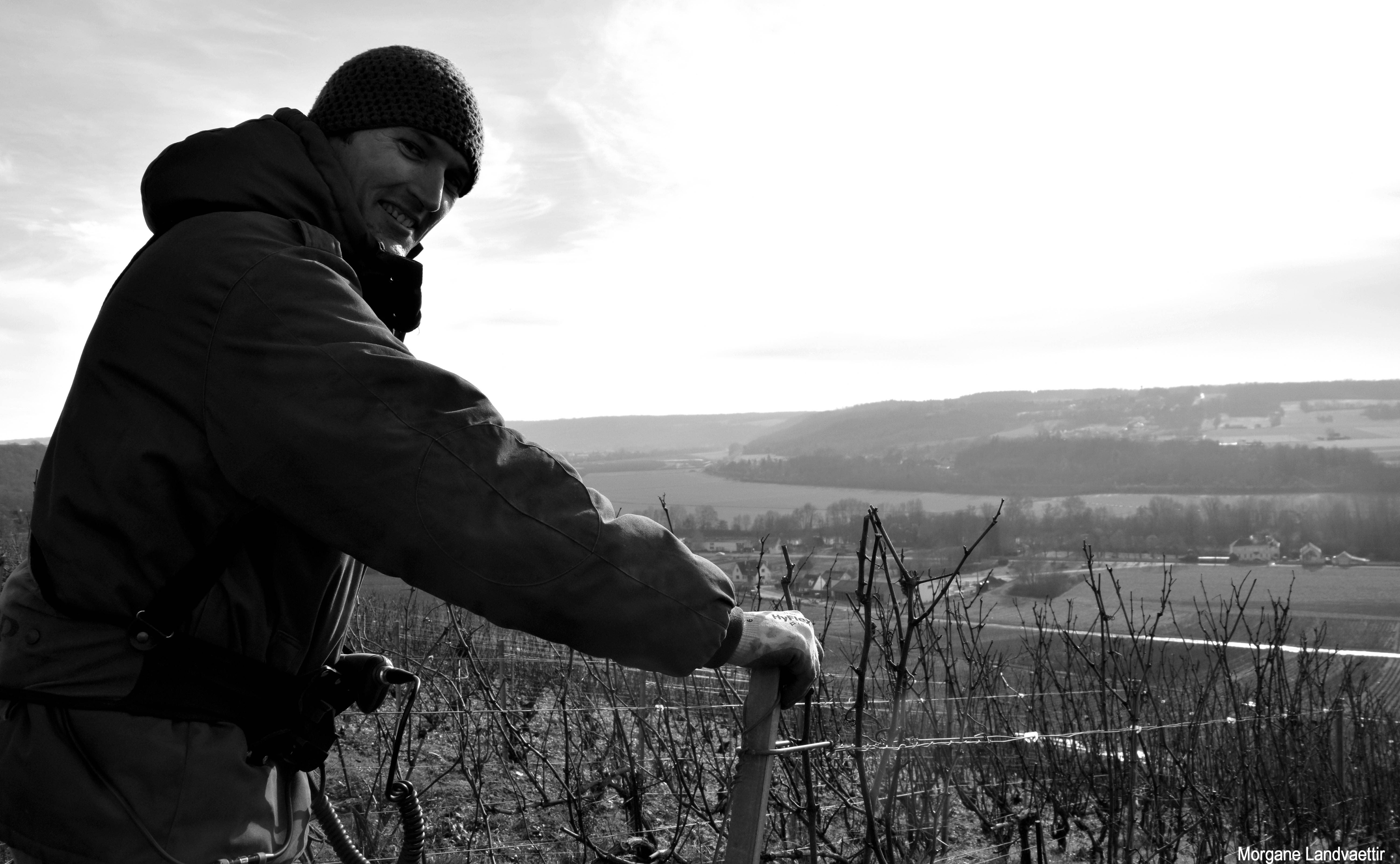 Visite du vignoble & dégustation de 5 champagne